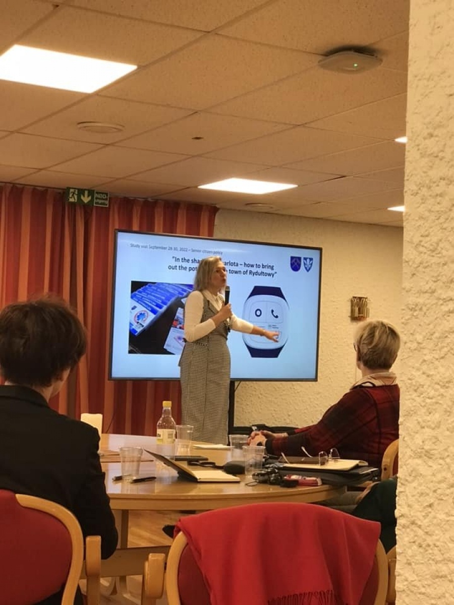 Zdjęcie w galerii na portalu naszwodzislaw.com: Po drugiej stronie Bałtyku. Rydułtowy z rewizytą w partnerskiej gminie Øvre Eiker wiadomości z regionu