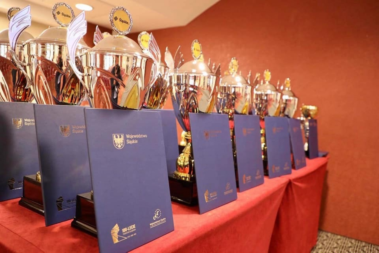 Zdjęcie w galerii na portalu naszwodzislaw.com: Piękna Wieś Województwa Śląskiego. Czyżowice na podium wiadomości z regionu