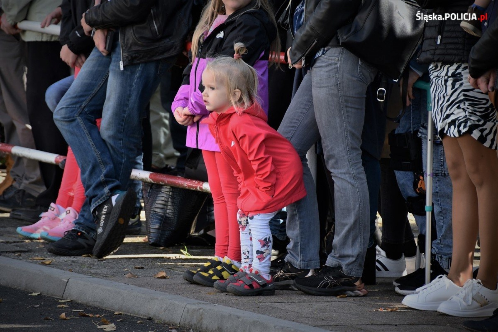 Zdjęcie w galerii na portalu naszwodzislaw.com: Ślubowanie za nimi. Teraz półroczne szkolenie wiadomości z regionu