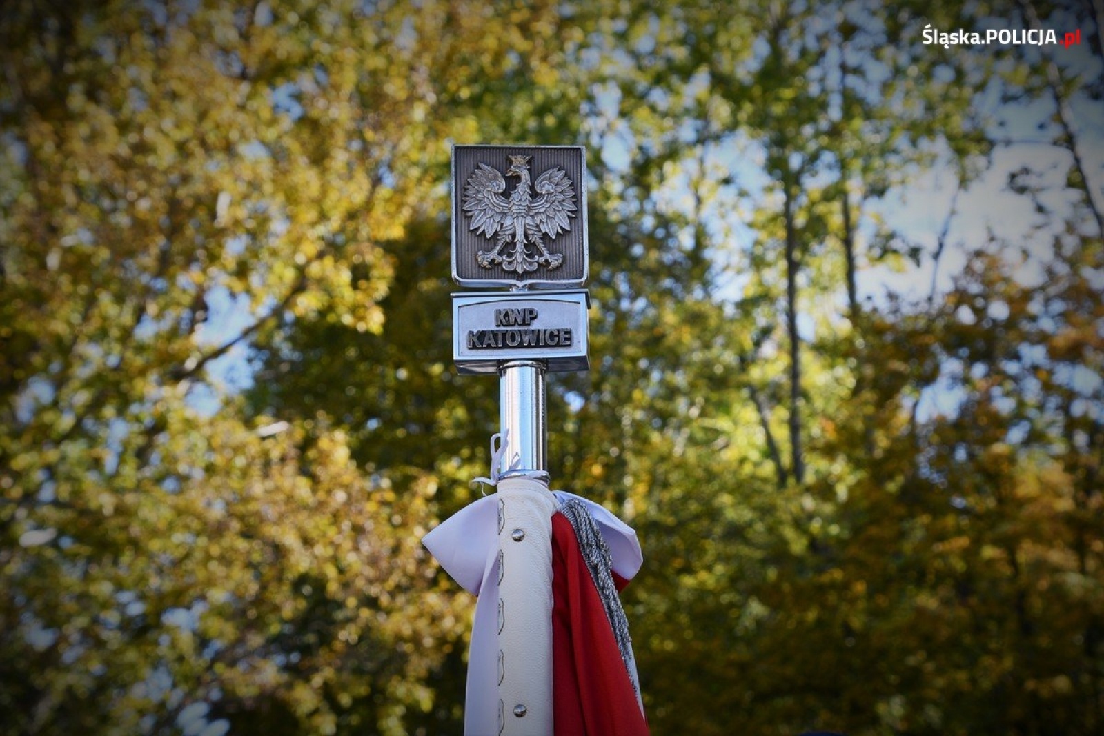 Zdjęcie w galerii na portalu naszwodzislaw.com: Ślubowanie za nimi. Teraz półroczne szkolenie wiadomości z regionu