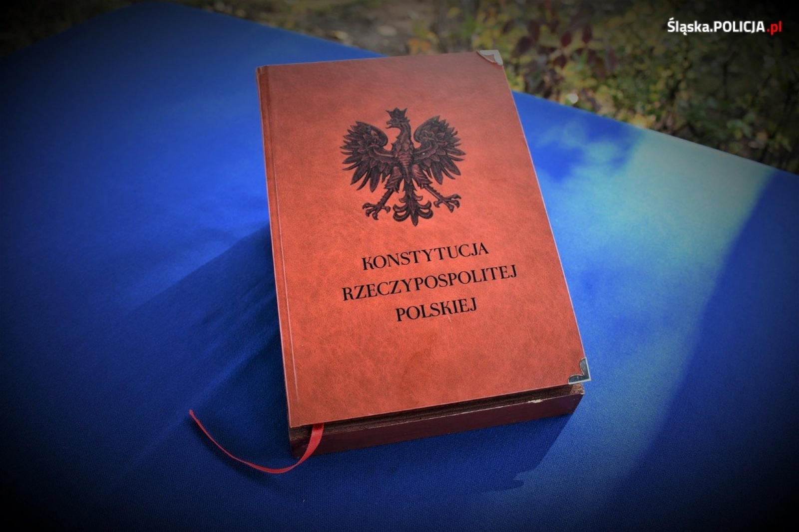 Zdjęcie w galerii na portalu naszwodzislaw.com: Ślubowanie za nimi. Teraz półroczne szkolenie wiadomości z regionu