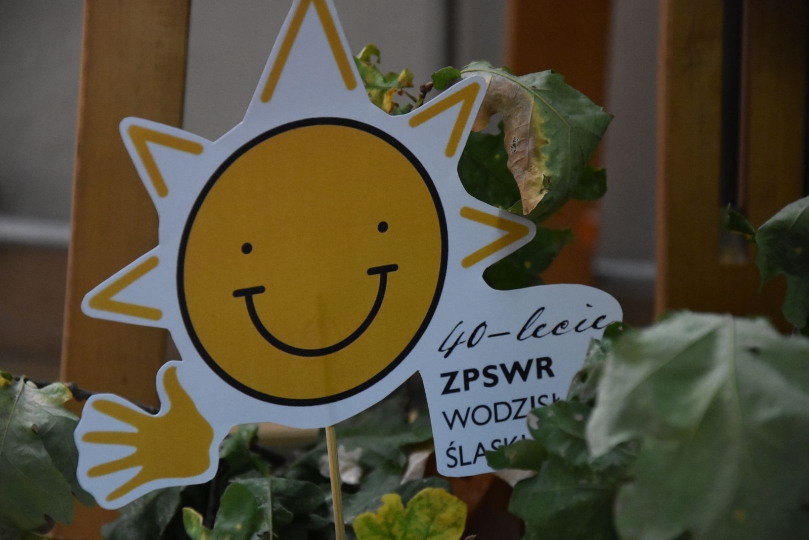 Zdjęcie w galerii na portalu naszwodzislaw.com: Dzień Edukacji Narodowej świętowano wraz z jubileuszem szkoły [FOTO] wiadomości z regionu