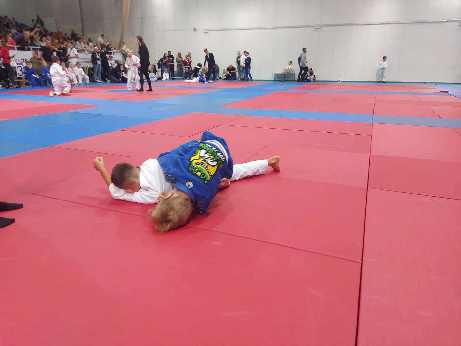 Zdjęcie w galerii na portalu naszwodzislaw.com: Worek medali Akademii Top Team w Sosnowcu wiadomości z regionu