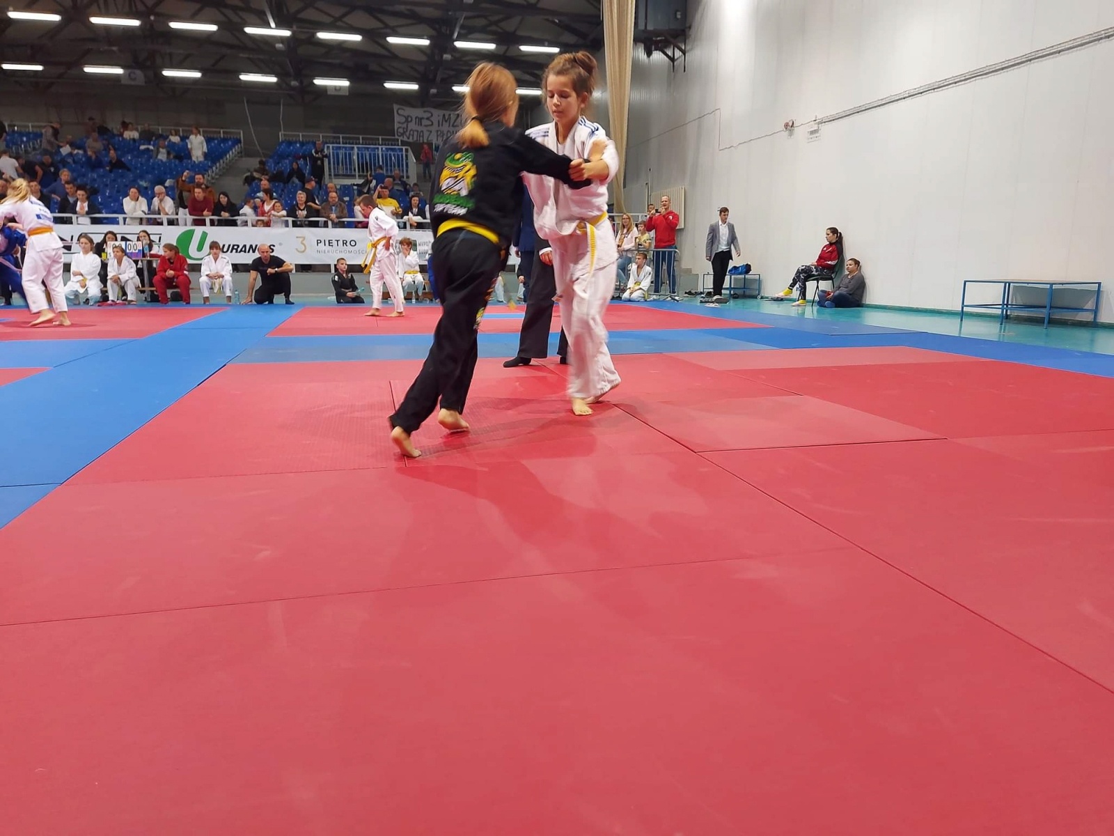 Zdjęcie w galerii na portalu naszwodzislaw.com: Worek medali Akademii Top Team w Sosnowcu wiadomości z regionu