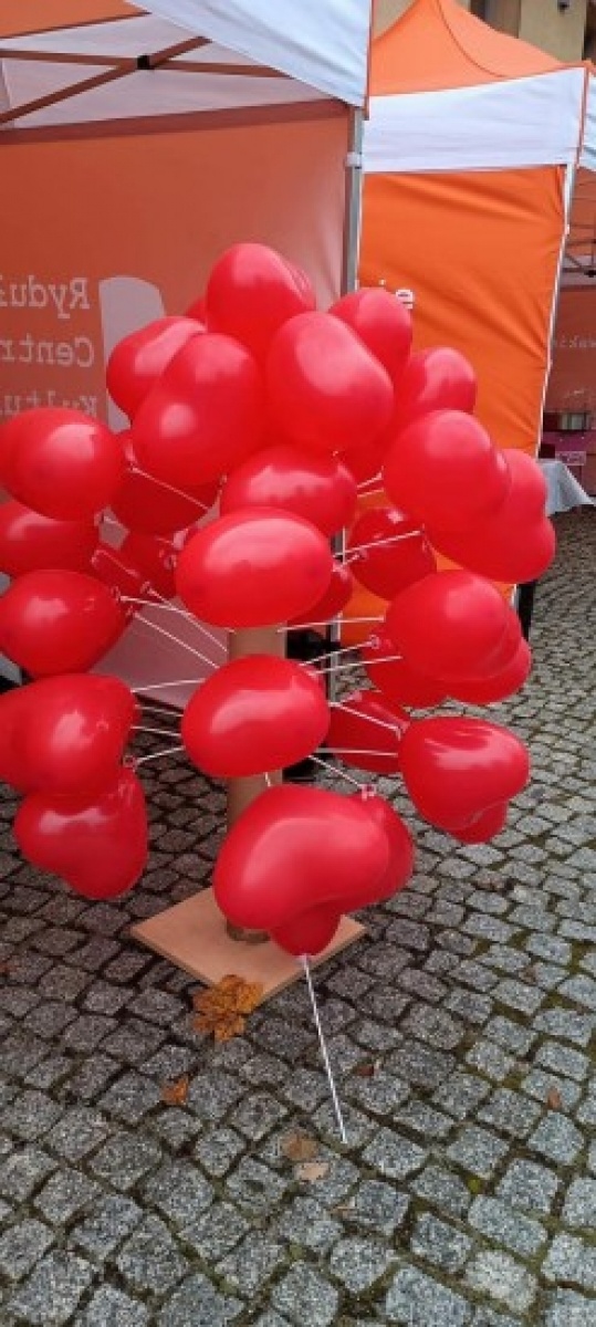 Zdjęcie w galerii na portalu naszwodzislaw.com: XI Rodzinny Bieg Zakochanych w Rydułtowach za nami wiadomości z regionu