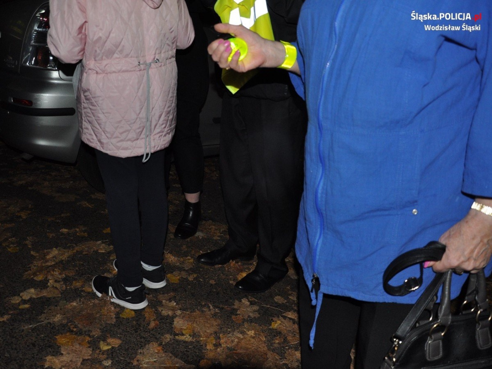 Zdjęcie w galerii na portalu naszwodzislaw.com: Jak dobrze cię widzieć. Akcja wodzisławskiej policji wiadomości z regionu