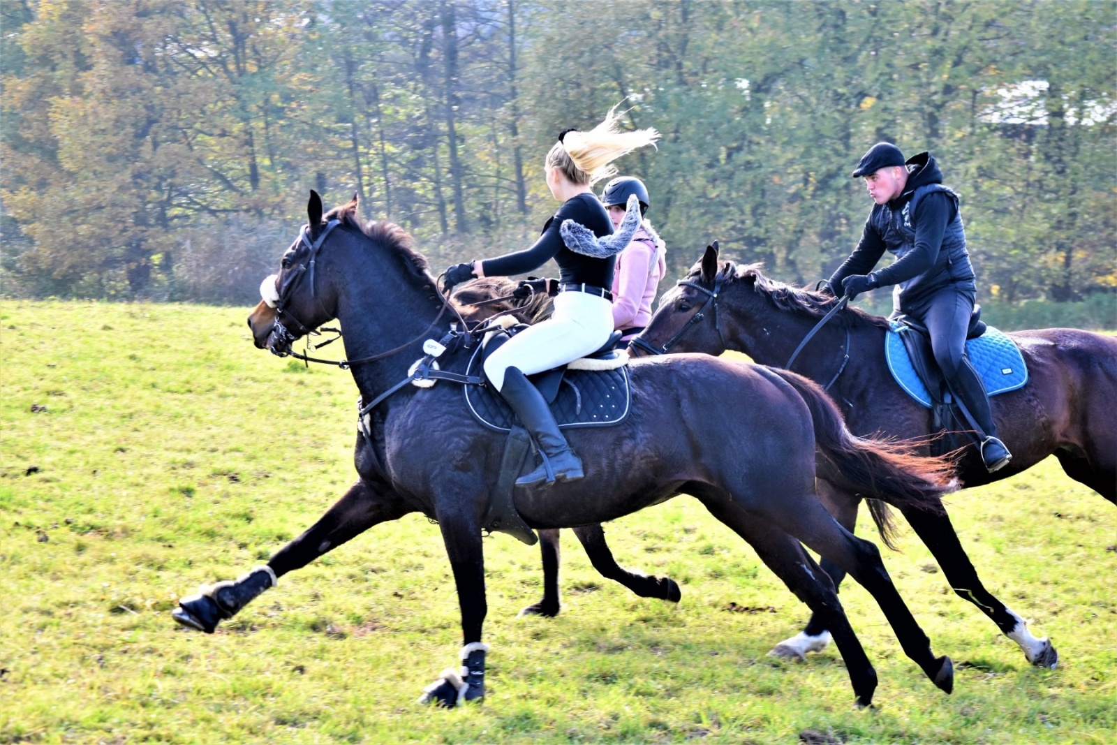 Zdjęcie w galerii na portalu naszwodzislaw.com: Hubertus 2022 za nami. Pogonili za lisią kitą wiadomości z regionu