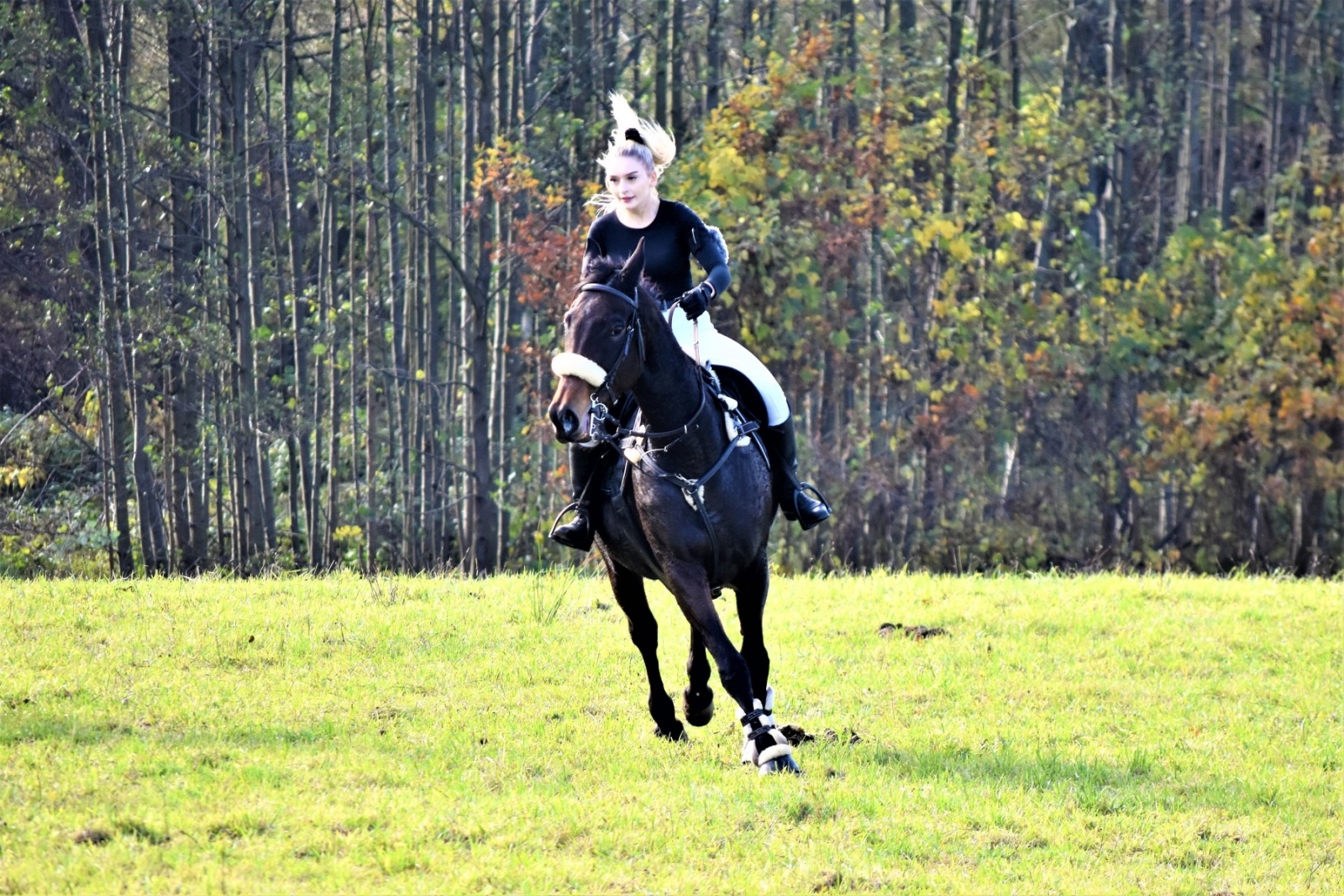 Zdjęcie w galerii na portalu naszwodzislaw.com: Hubertus 2022 za nami. Pogonili za lisią kitą wiadomości z regionu