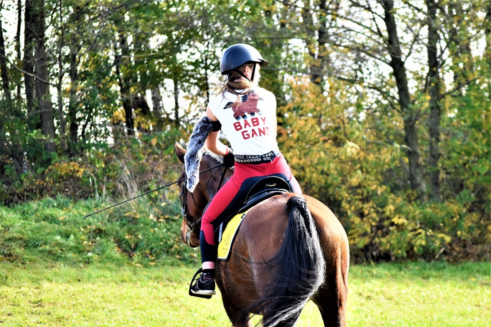 Zdjęcie w galerii na portalu naszwodzislaw.com: Hubertus 2022 za nami. Pogonili za lisią kitą wiadomości z regionu