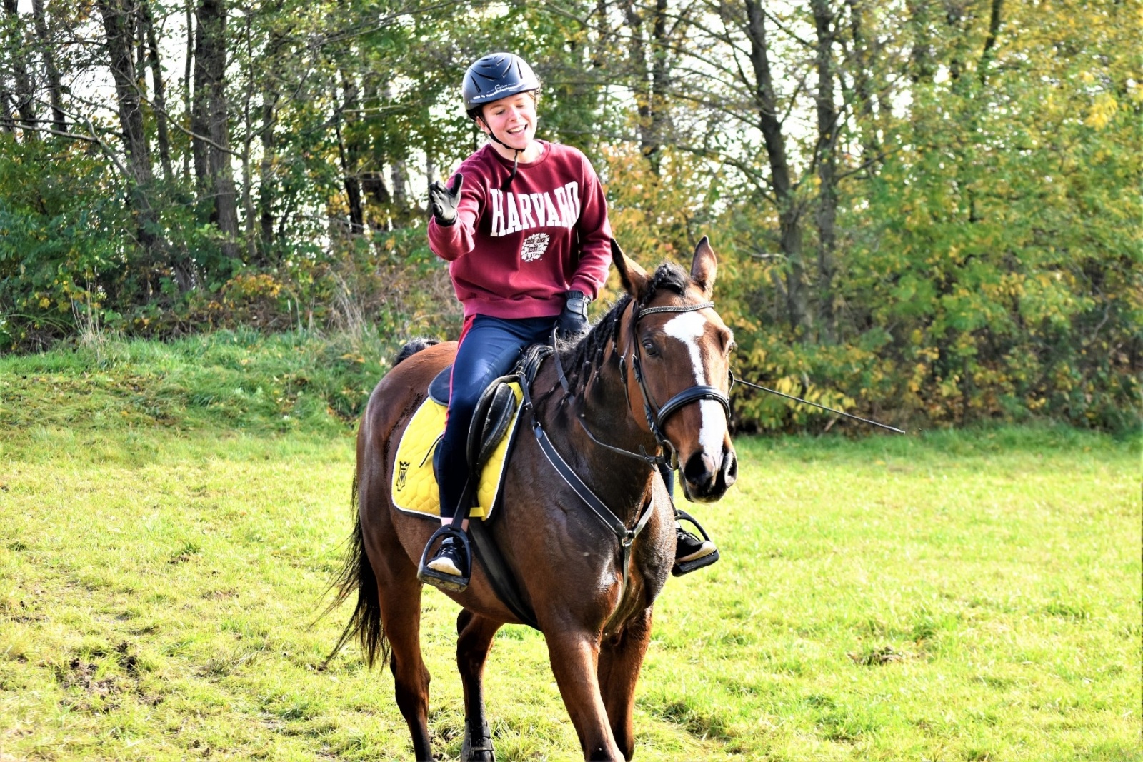 Zdjęcie w galerii na portalu naszwodzislaw.com: Hubertus 2022 za nami. Pogonili za lisią kitą wiadomości z regionu