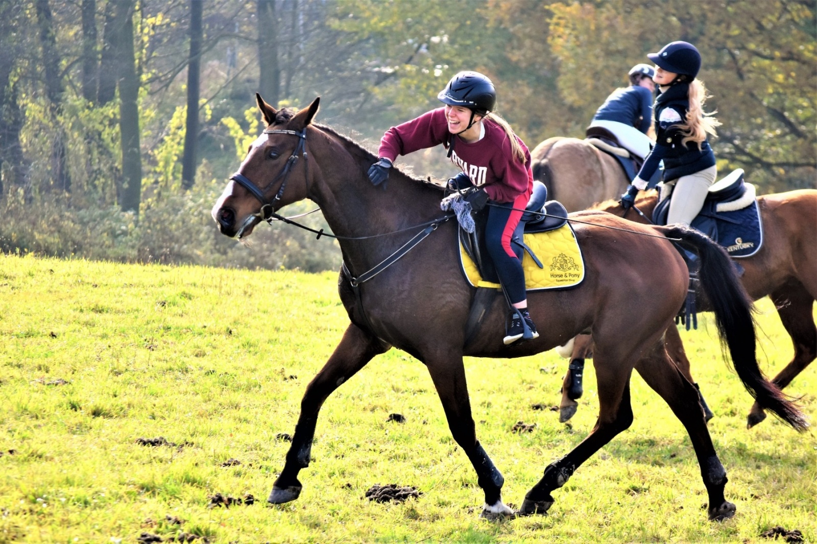 Zdjęcie w galerii na portalu naszwodzislaw.com: Hubertus 2022 za nami. Pogonili za lisią kitą wiadomości z regionu
