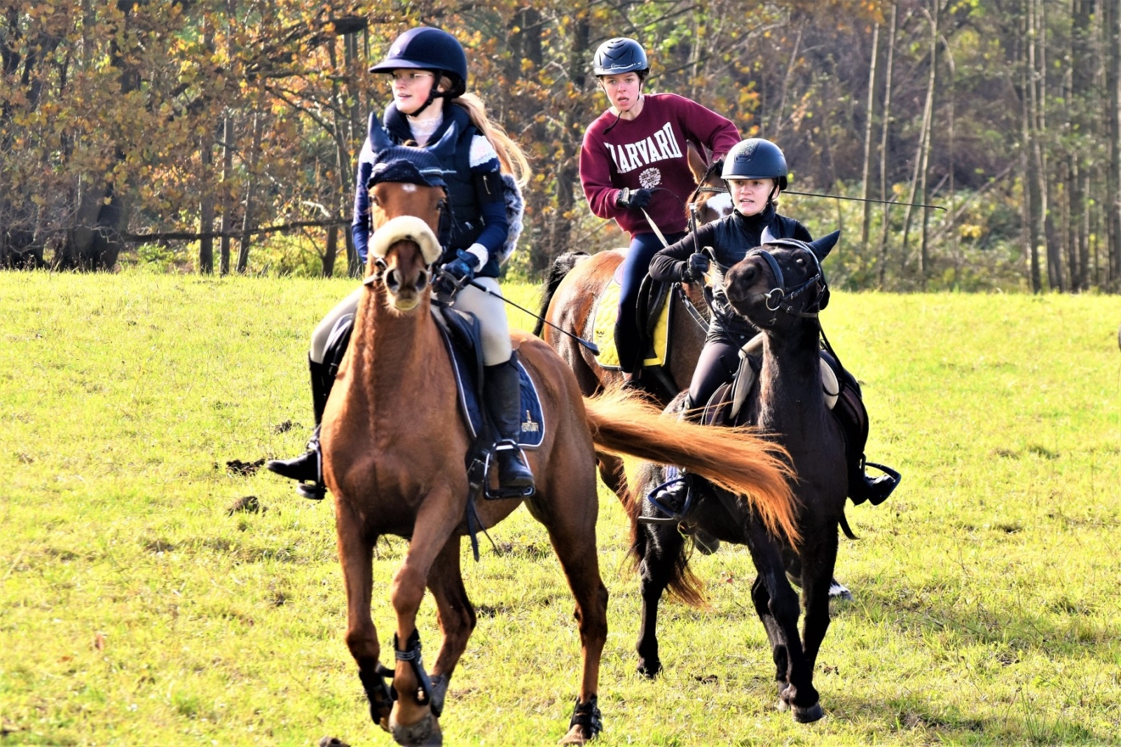 Zdjęcie w galerii na portalu naszwodzislaw.com: Hubertus 2022 za nami. Pogonili za lisią kitą wiadomości z regionu