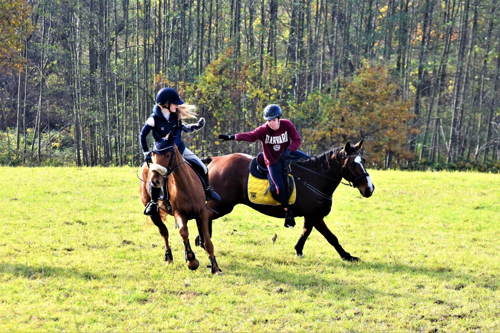 Zdjęcie w galerii na portalu naszwodzislaw.com: Hubertus 2022 za nami. Pogonili za lisią kitą wiadomości z regionu