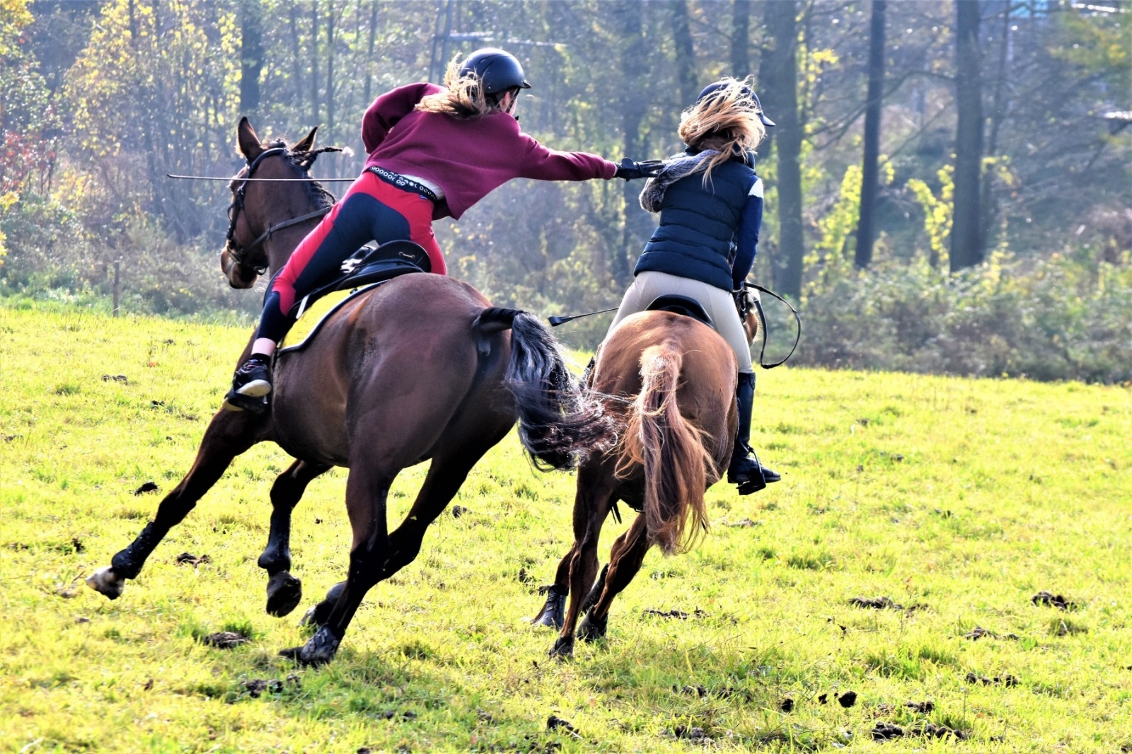 Zdjęcie w galerii na portalu naszwodzislaw.com: Hubertus 2022 za nami. Pogonili za lisią kitą wiadomości z regionu