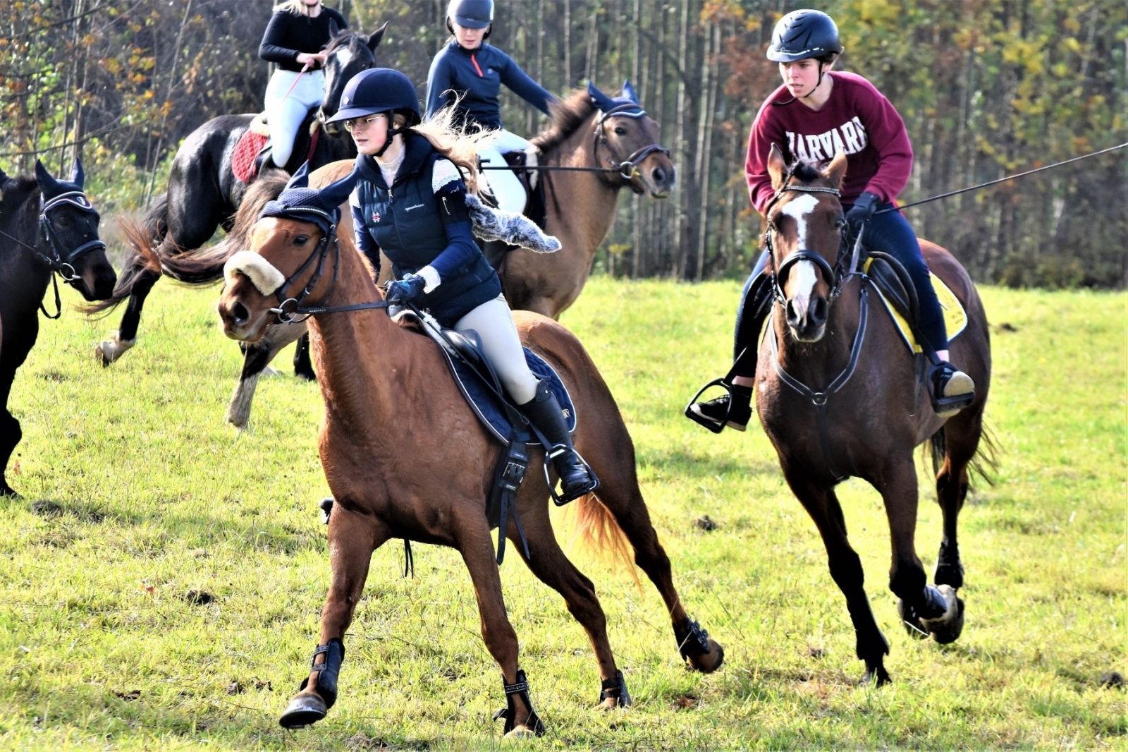 Zdjęcie w galerii na portalu naszwodzislaw.com: Hubertus 2022 za nami. Pogonili za lisią kitą wiadomości z regionu