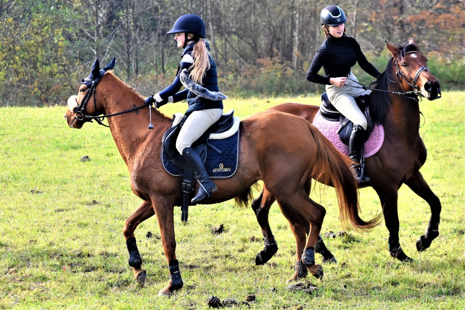 Zdjęcie w galerii na portalu naszwodzislaw.com: Hubertus 2022 za nami. Pogonili za lisią kitą wiadomości z regionu