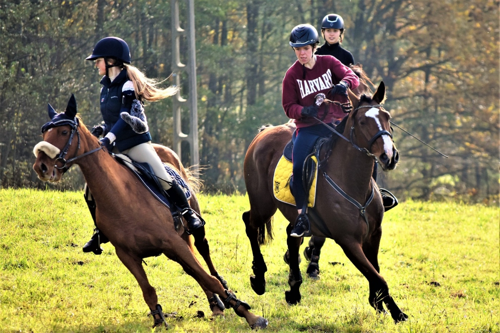 Zdjęcie w galerii na portalu naszwodzislaw.com: Hubertus 2022 za nami. Pogonili za lisią kitą wiadomości z regionu