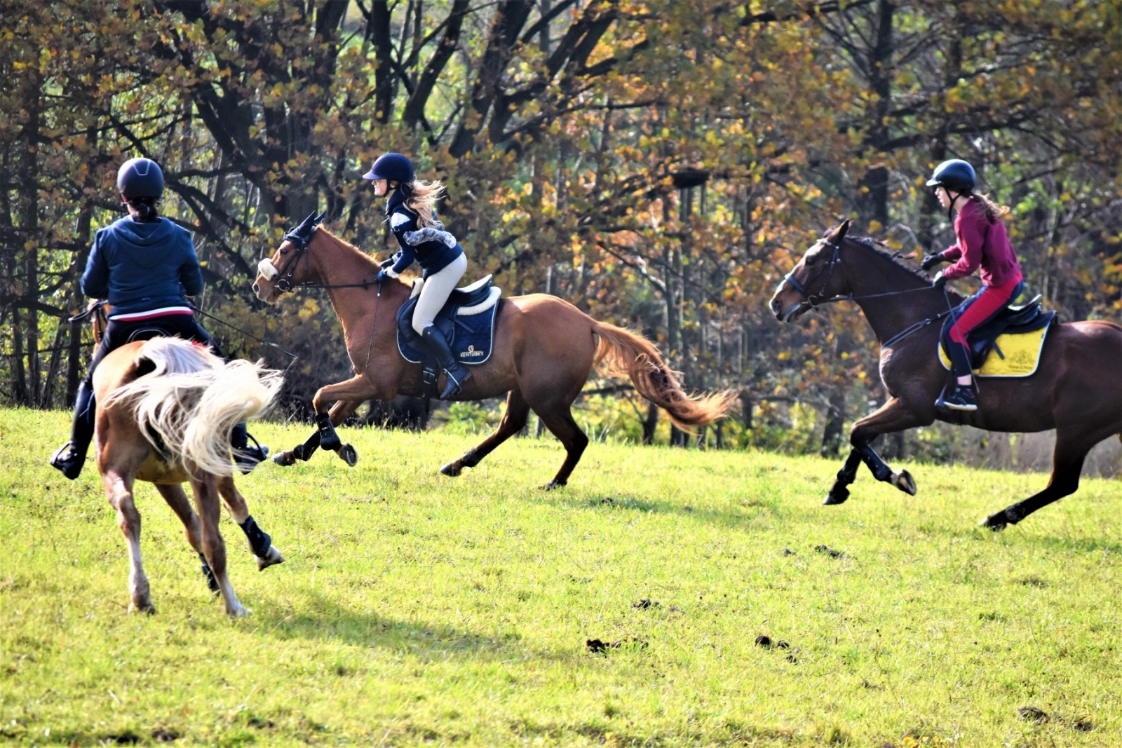 Zdjęcie w galerii na portalu naszwodzislaw.com: Hubertus 2022 za nami. Pogonili za lisią kitą wiadomości z regionu