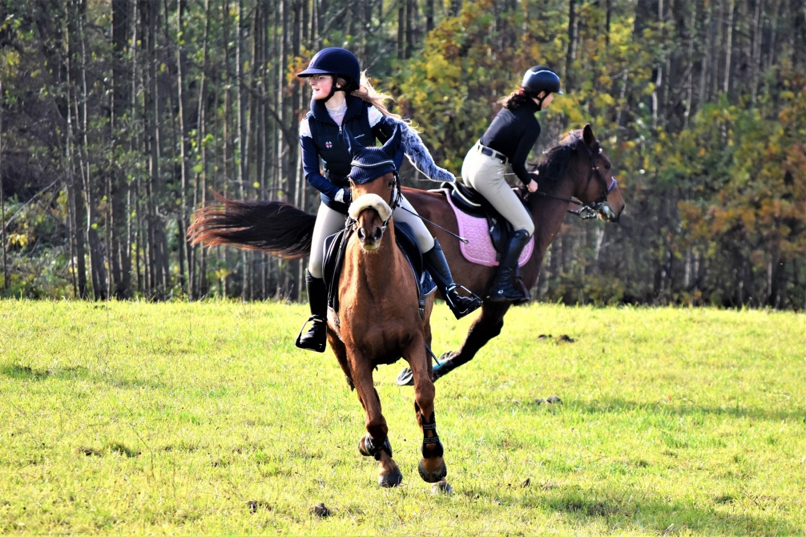 Zdjęcie w galerii na portalu naszwodzislaw.com: Hubertus 2022 za nami. Pogonili za lisią kitą wiadomości z regionu