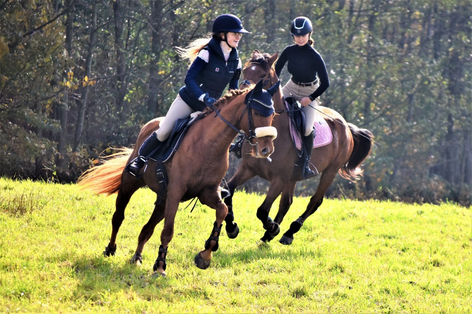 Zdjęcie w galerii na portalu naszwodzislaw.com: Hubertus 2022 za nami. Pogonili za lisią kitą wiadomości z regionu