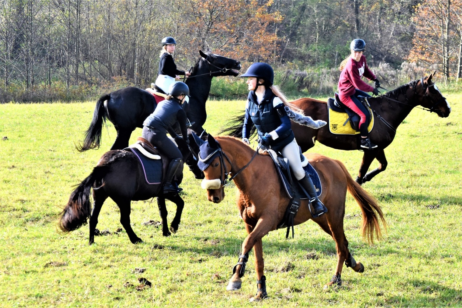 Zdjęcie w galerii na portalu naszwodzislaw.com: Hubertus 2022 za nami. Pogonili za lisią kitą wiadomości z regionu