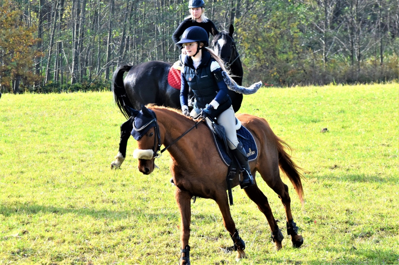 Zdjęcie w galerii na portalu naszwodzislaw.com: Hubertus 2022 za nami. Pogonili za lisią kitą wiadomości z regionu