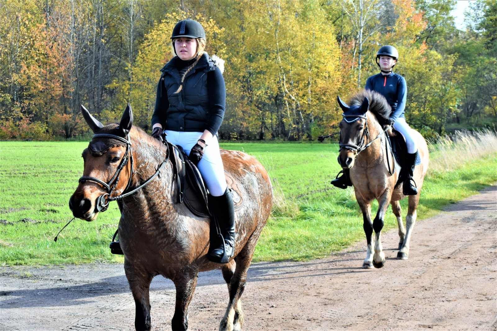 Zdjęcie w galerii na portalu naszwodzislaw.com: Hubertus 2022 za nami. Pogonili za lisią kitą wiadomości z regionu