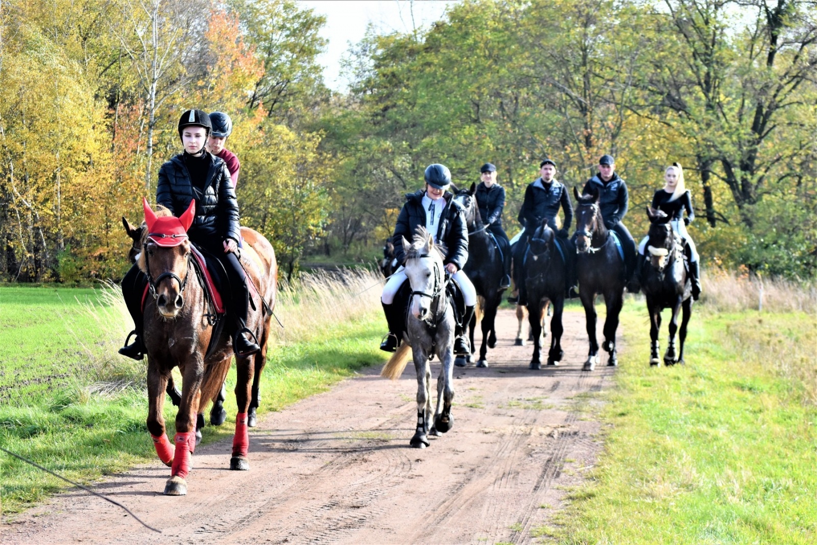 Zdjęcie w galerii na portalu naszwodzislaw.com: Hubertus 2022 za nami. Pogonili za lisią kitą wiadomości z regionu