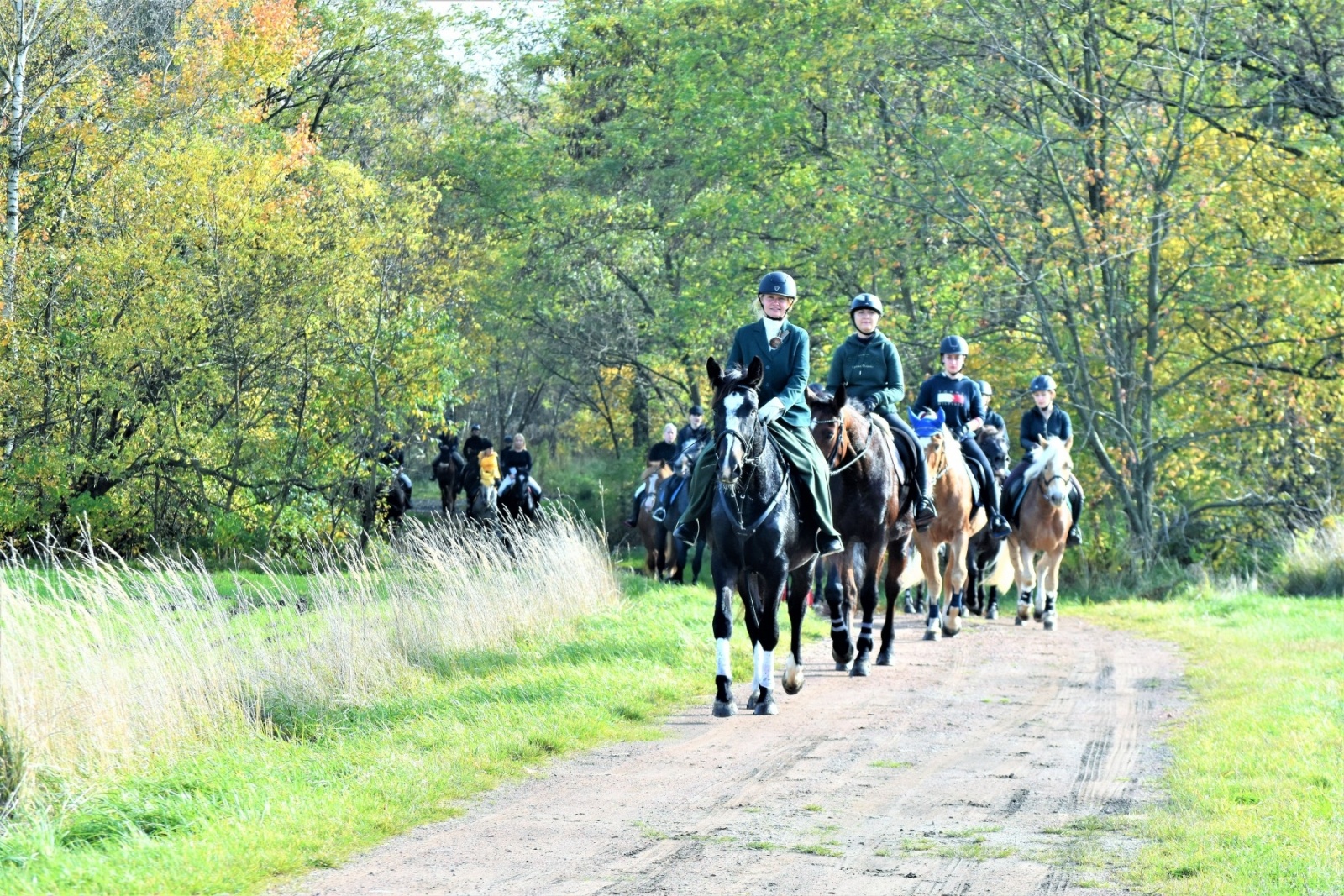 Zdjęcie w galerii na portalu naszwodzislaw.com: Hubertus 2022 za nami. Pogonili za lisią kitą wiadomości z regionu