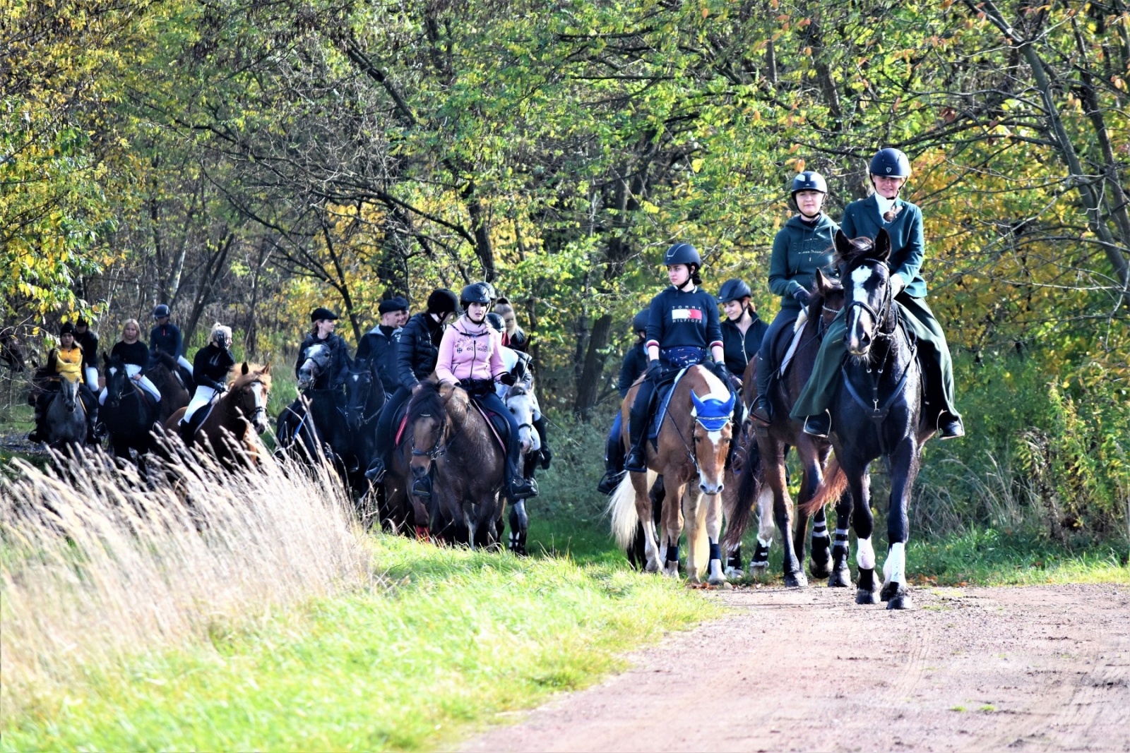 Zdjęcie w galerii na portalu naszwodzislaw.com: Hubertus 2022 za nami. Pogonili za lisią kitą wiadomości z regionu