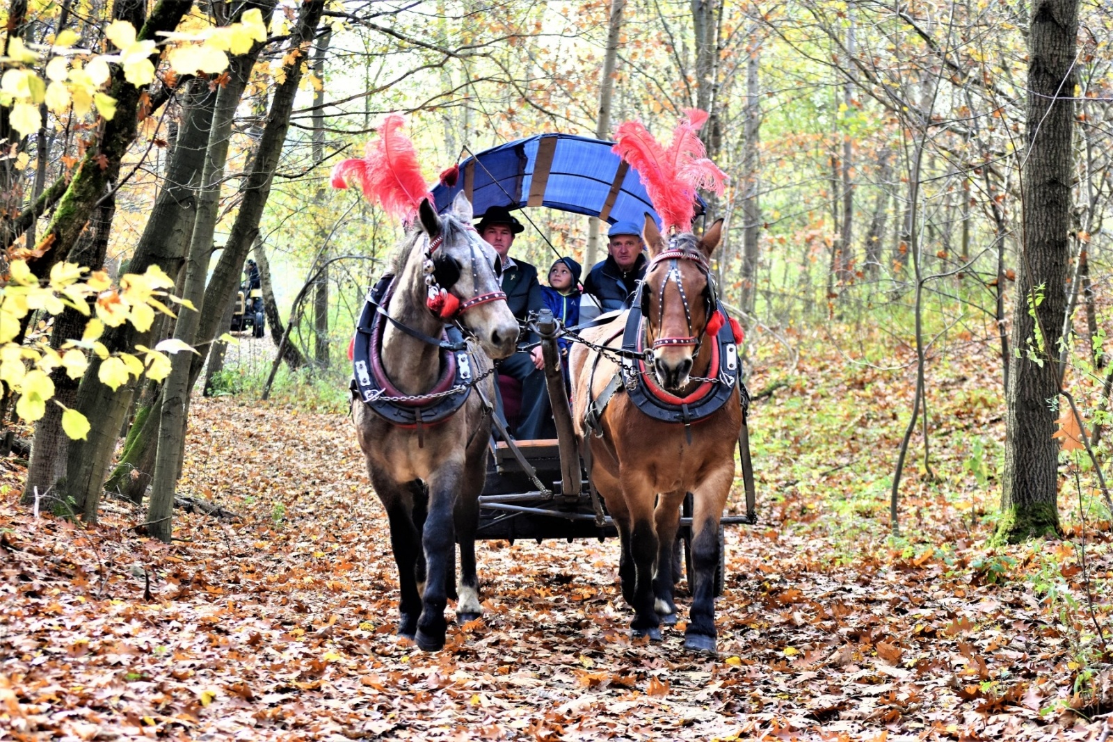 Zdjęcie w galerii na portalu naszwodzislaw.com: Hubertus 2022 za nami. Pogonili za lisią kitą wiadomości z regionu