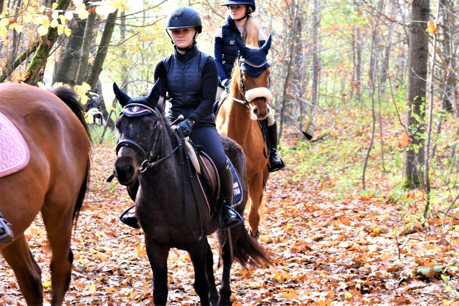 Zdjęcie w galerii na portalu naszwodzislaw.com: Hubertus 2022 za nami. Pogonili za lisią kitą wiadomości z regionu