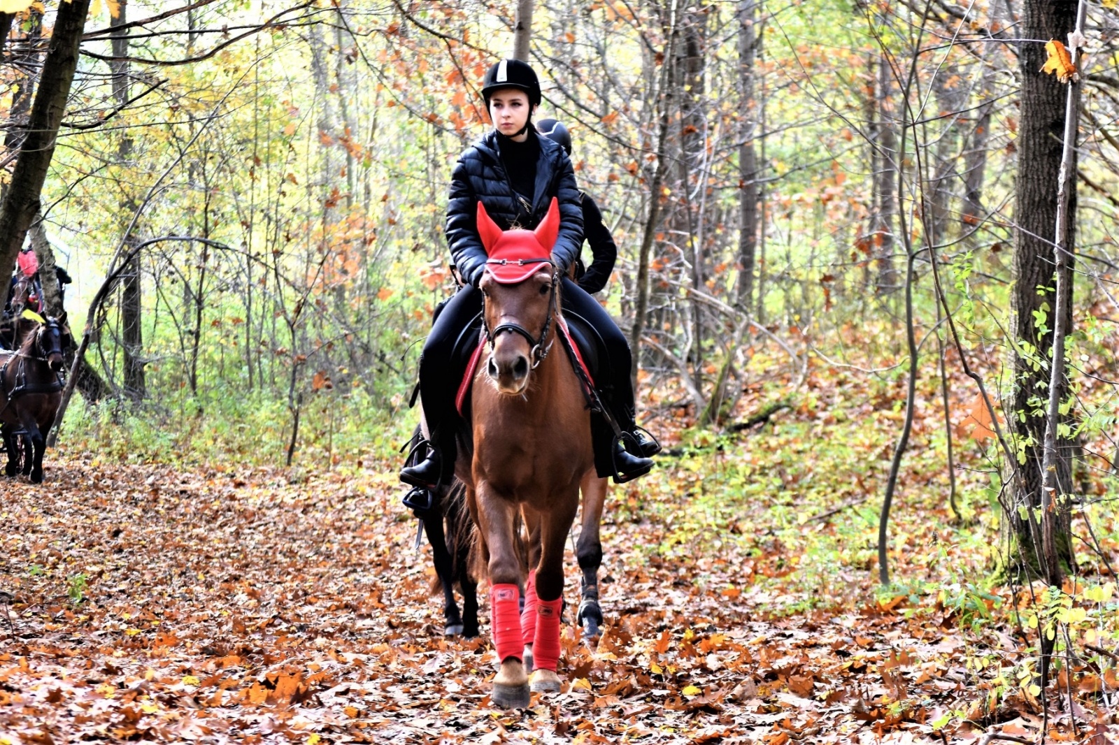 Zdjęcie w galerii na portalu naszwodzislaw.com: Hubertus 2022 za nami. Pogonili za lisią kitą wiadomości z regionu