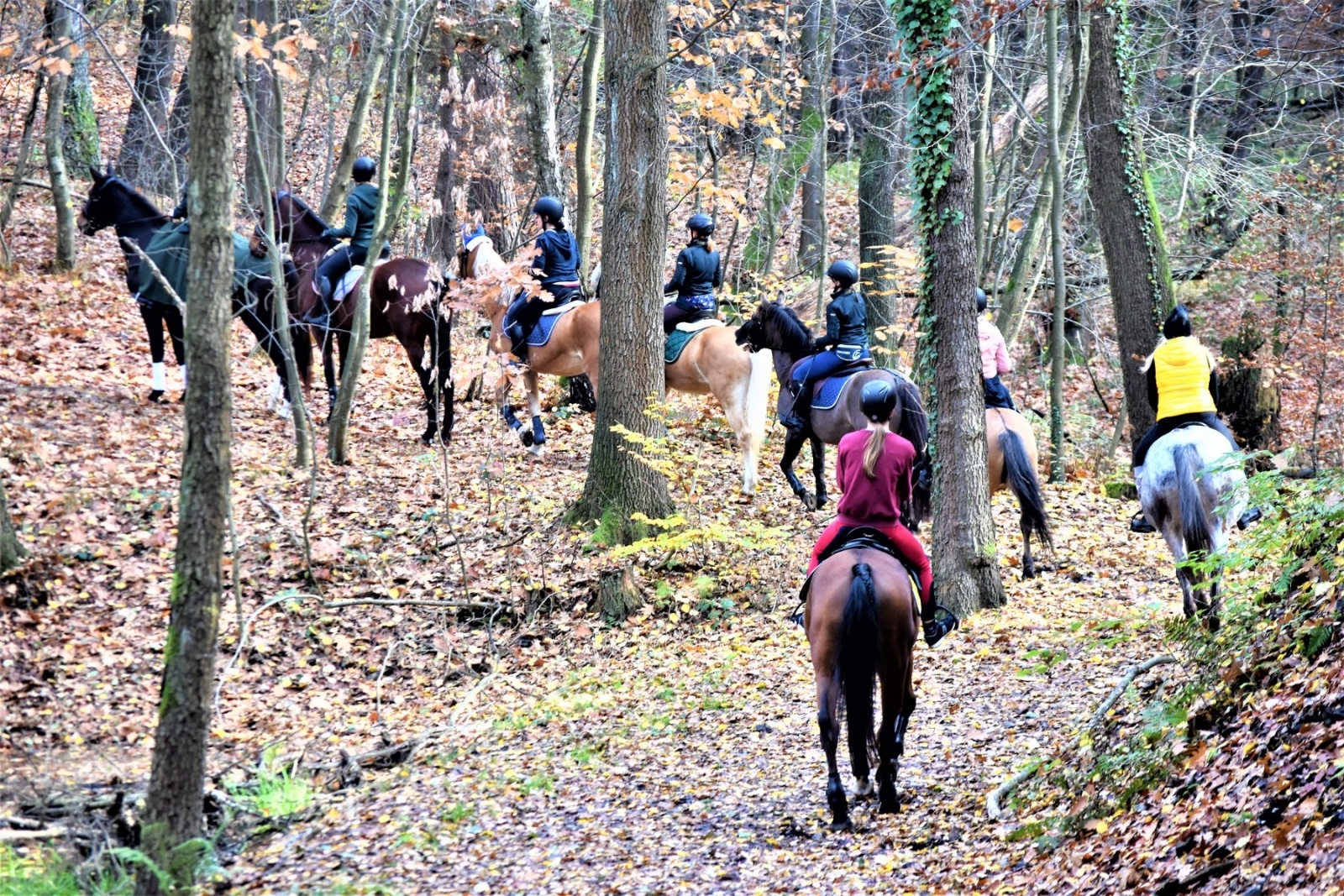 Zdjęcie w galerii na portalu naszwodzislaw.com: Hubertus 2022 za nami. Pogonili za lisią kitą wiadomości z regionu