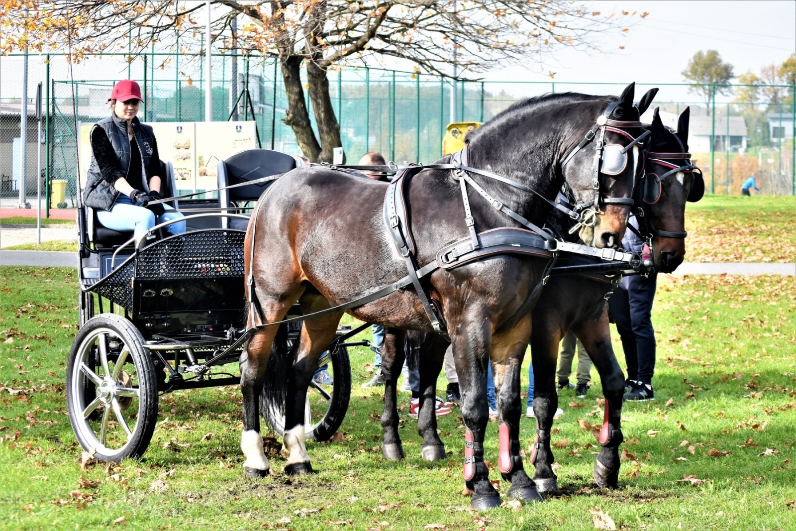 Zdjęcie w galerii na portalu naszwodzislaw.com: Hubertus 2022 za nami. Pogonili za lisią kitą wiadomości z regionu