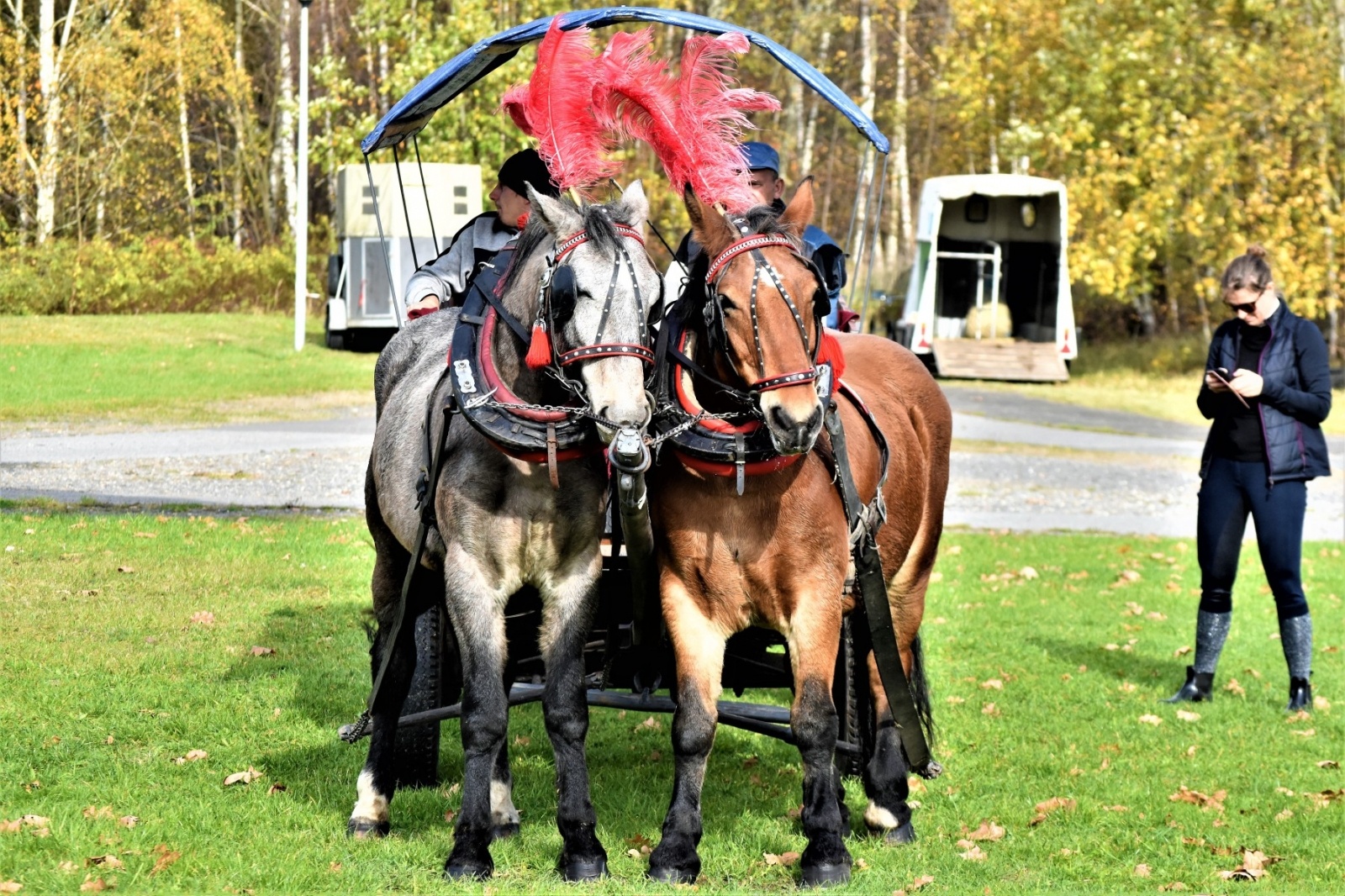 Zdjęcie w galerii na portalu naszwodzislaw.com: Hubertus 2022 za nami. Pogonili za lisią kitą wiadomości z regionu