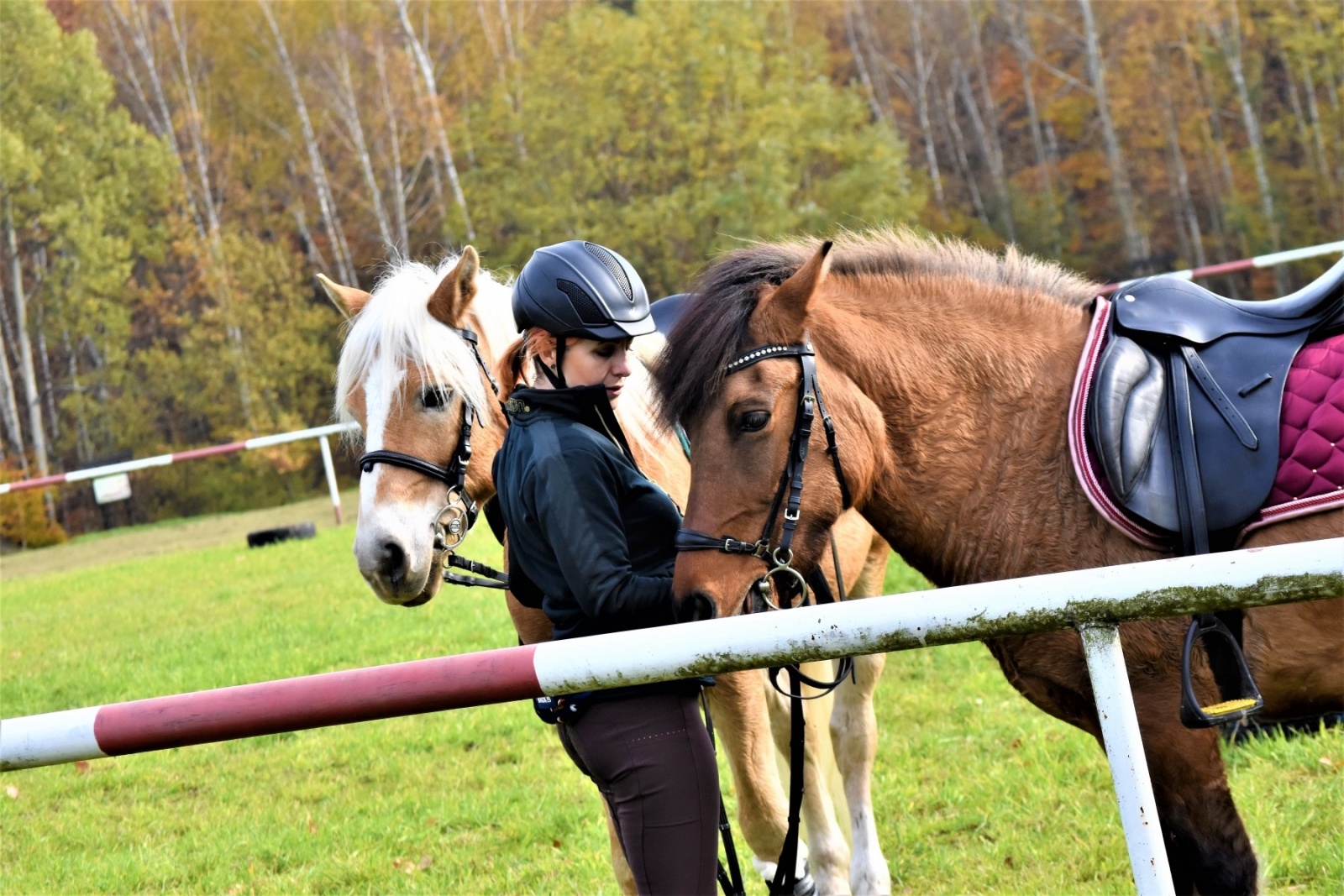 Zdjęcie w galerii na portalu naszwodzislaw.com: Hubertus 2022 za nami. Pogonili za lisią kitą wiadomości z regionu