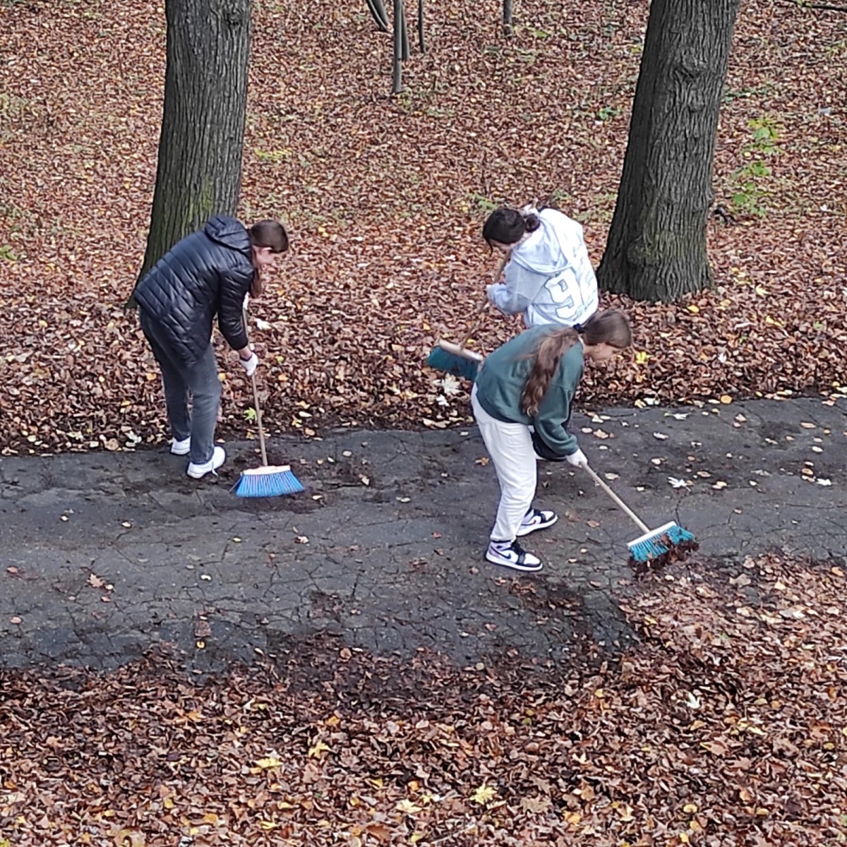 Zdjęcie w galerii na portalu naszwodzislaw.com: Uczniowie ZPS2 porządkowali Żydowinę wiadomości z regionu