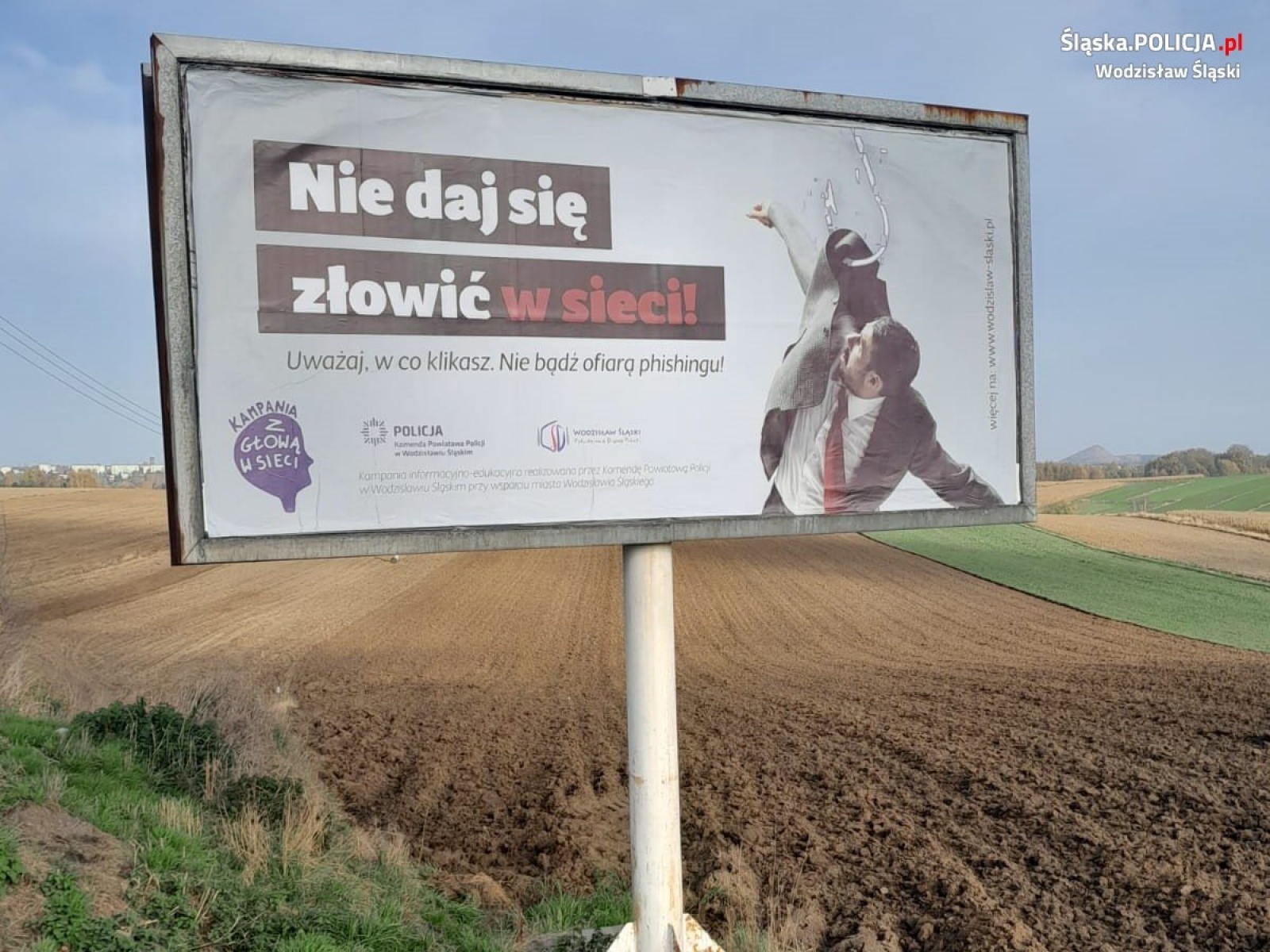 Zdjęcie w galerii na portalu naszwodzislaw.com: Nie daj się złowić w sieci. Widziałeś już te billboardy? wiadomości z regionu