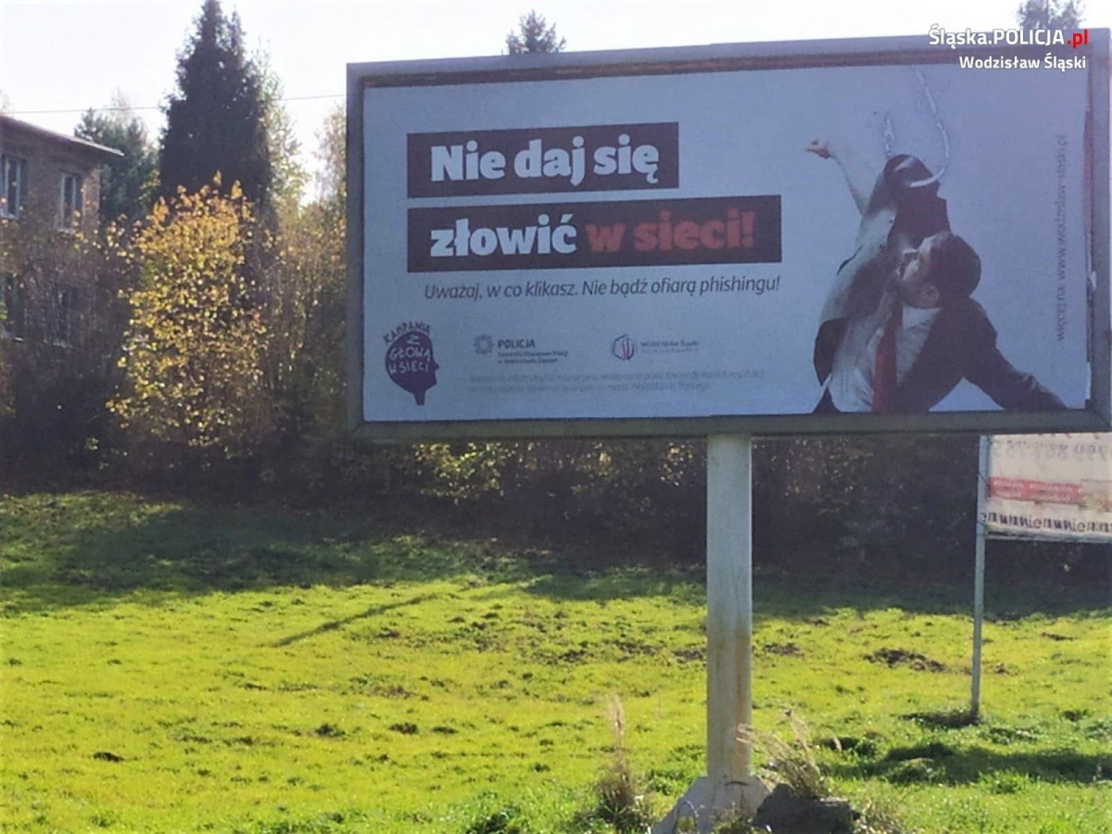Zdjęcie w galerii na portalu naszwodzislaw.com: Nie daj się złowić w sieci. Widziałeś już te billboardy? wiadomości z regionu