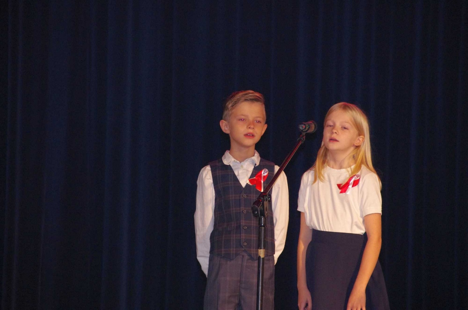 Zdjęcie w galerii na portalu naszwodzislaw.com: Poznajcie laureatów Przeglądu Pieśni i Piosenki Patriotycznej! wiadomości z regionu