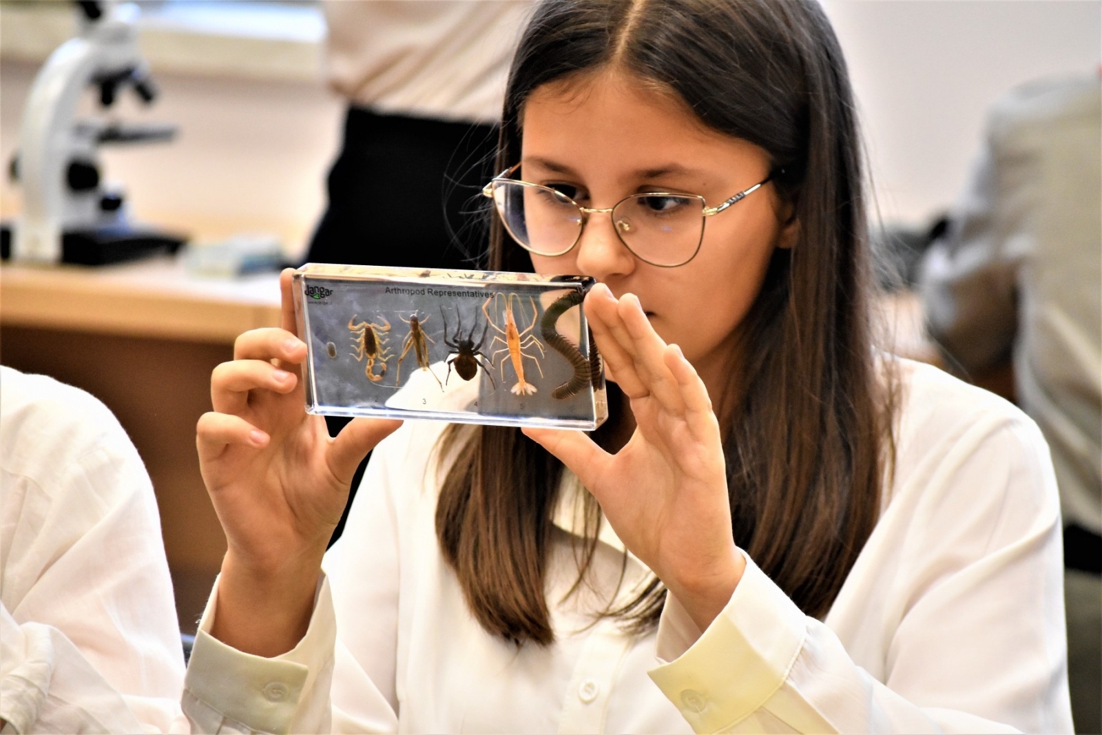 Zdjęcie w galerii na portalu naszwodzislaw.com: Trzy powody do świętowania. Dzień Niepodległości w SP Skrzyszów wiadomości z regionu