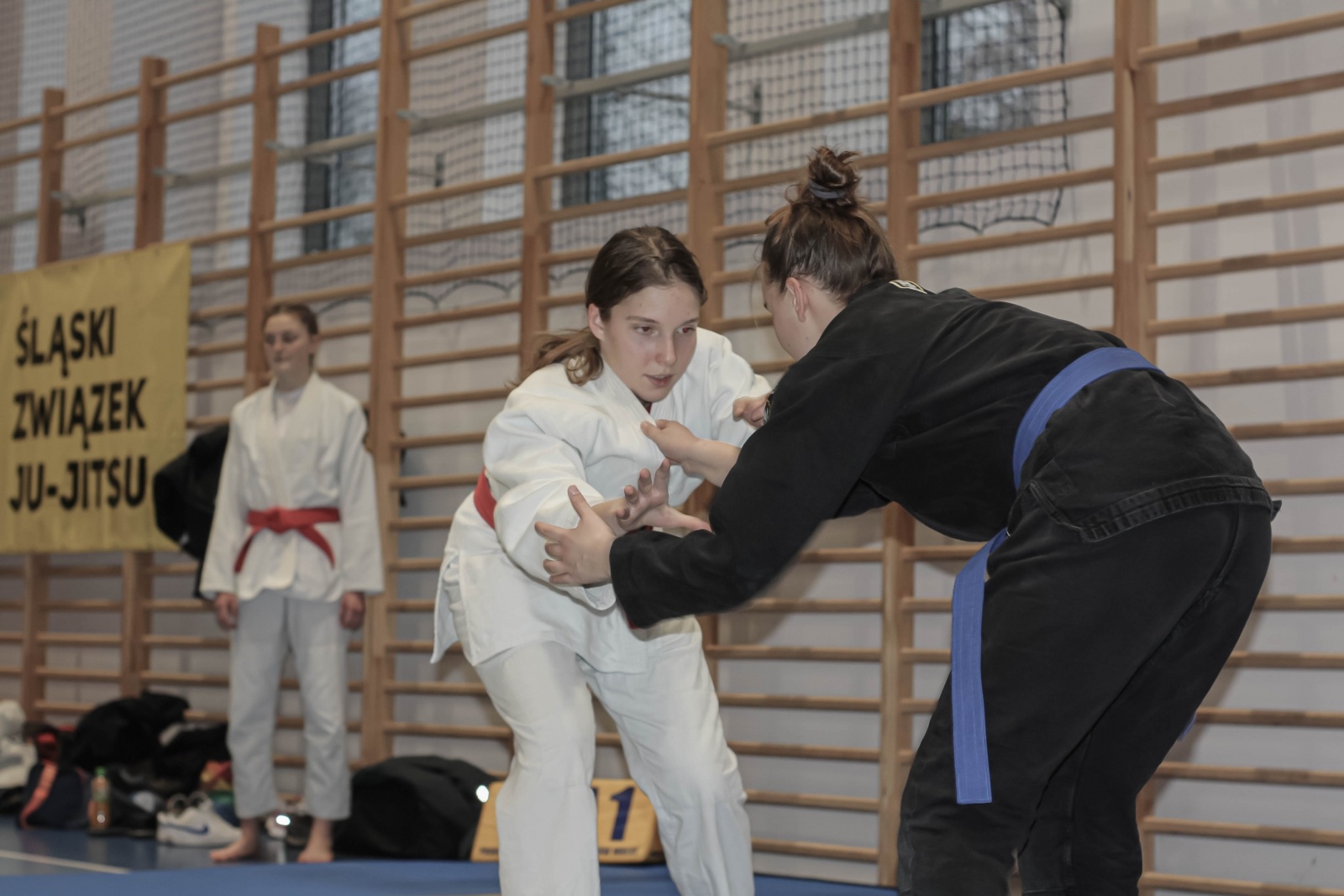 Zdjęcie w galerii na portalu naszwodzislaw.com: Worek medali Octagon Team wiadomości z regionu