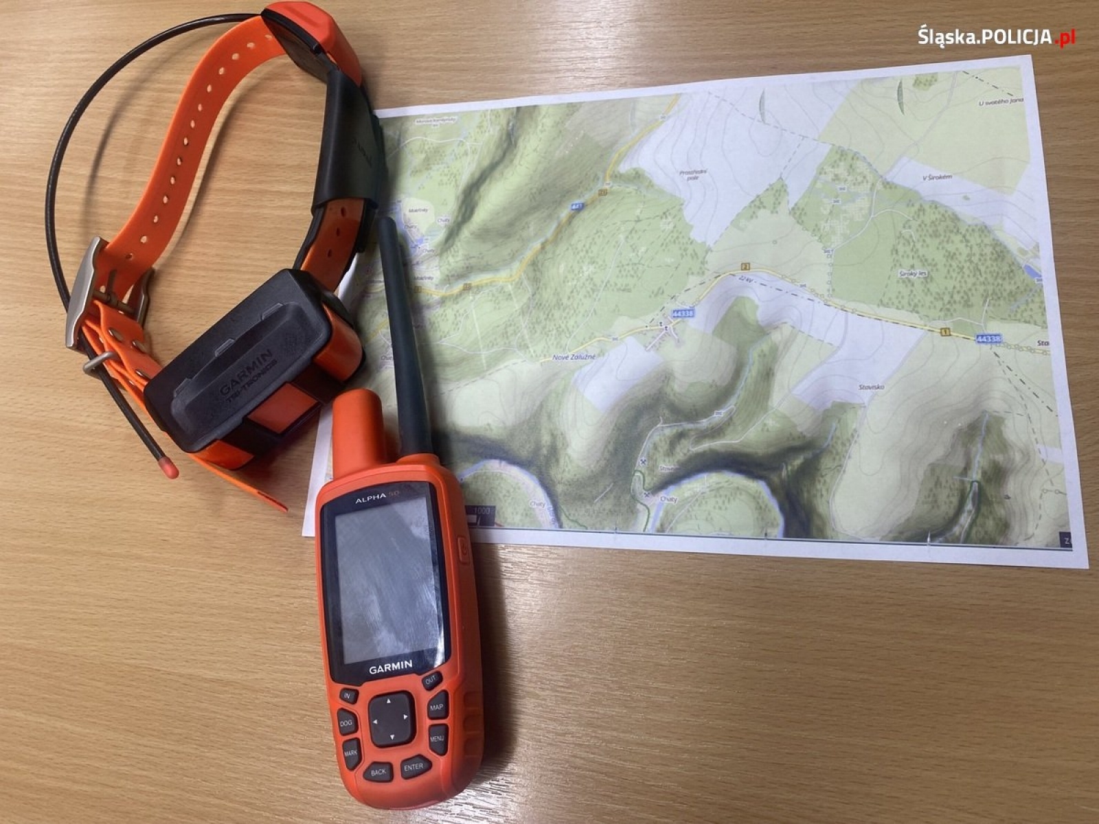 Zdjęcie w galerii na portalu naszwodzislaw.com: Wspólne szkolenie polskich i czeskich policyjnych przewodników psów wiadomości z regionu