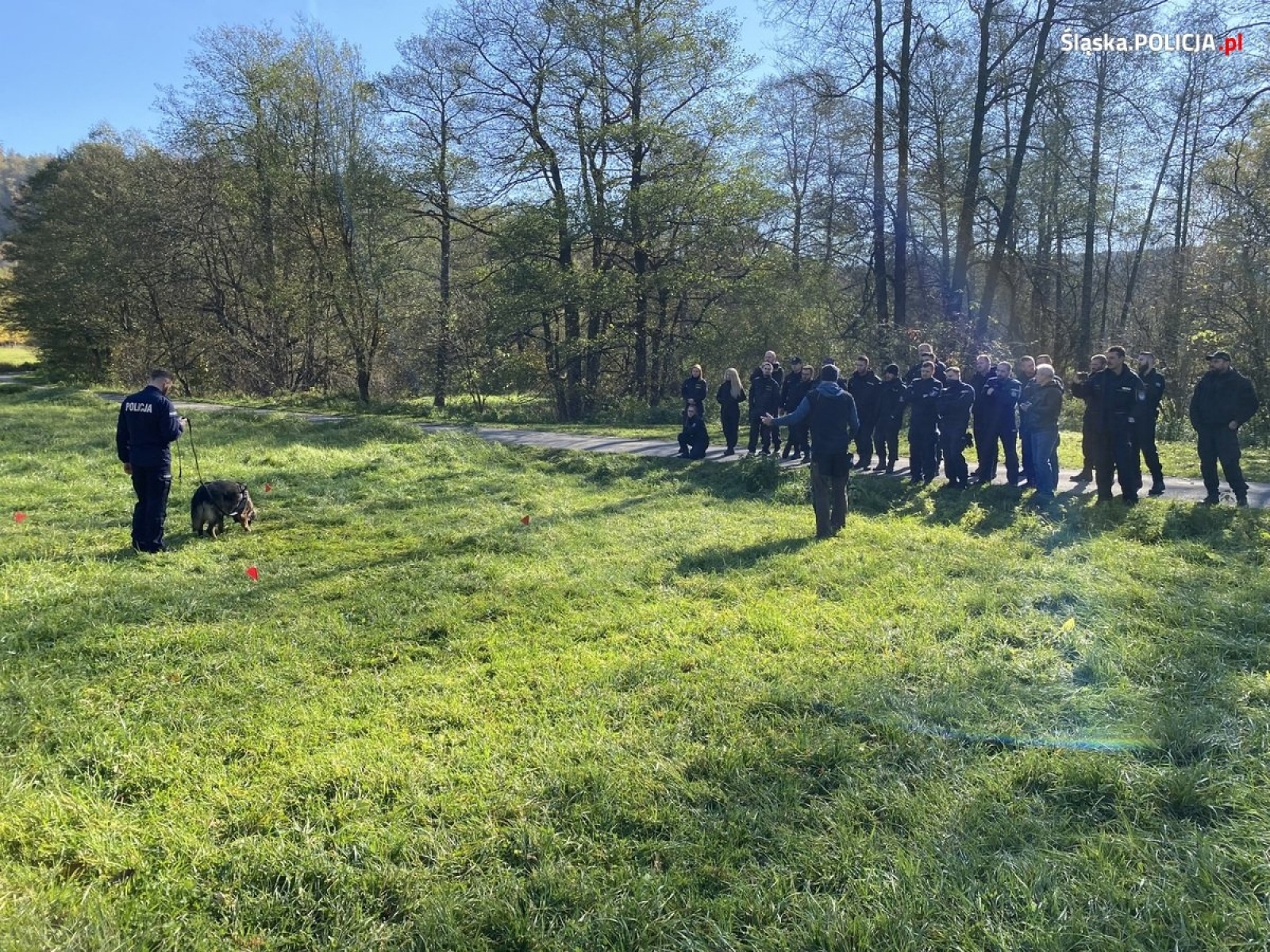 Zdjęcie w galerii na portalu naszwodzislaw.com: Wspólne szkolenie polskich i czeskich policyjnych przewodników psów wiadomości z regionu