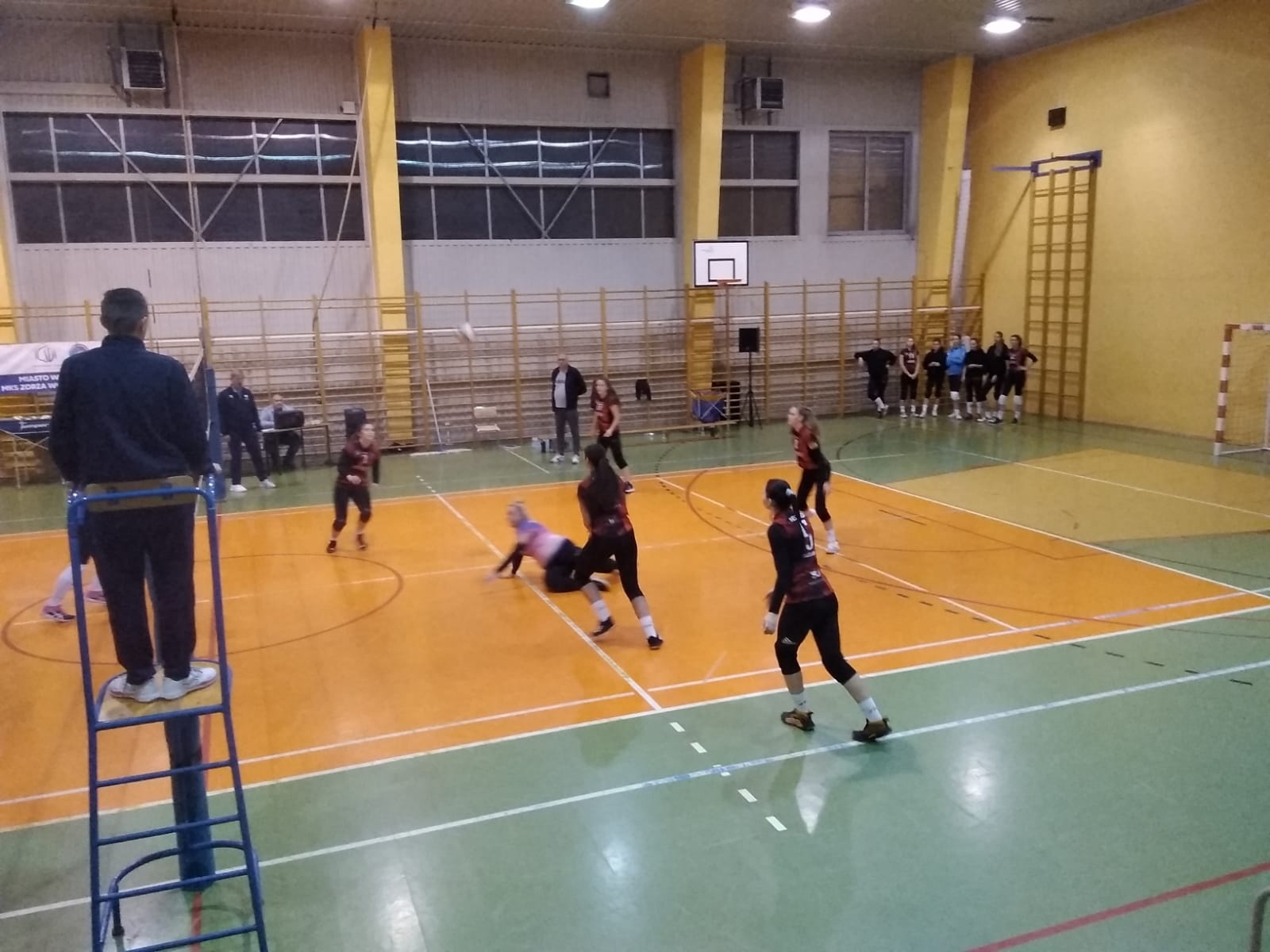 Zdjęcie w galerii na portalu naszwodzislaw.com: Siatkarki ZORZY z wysokimi zwycięstwami wiadomości z regionu