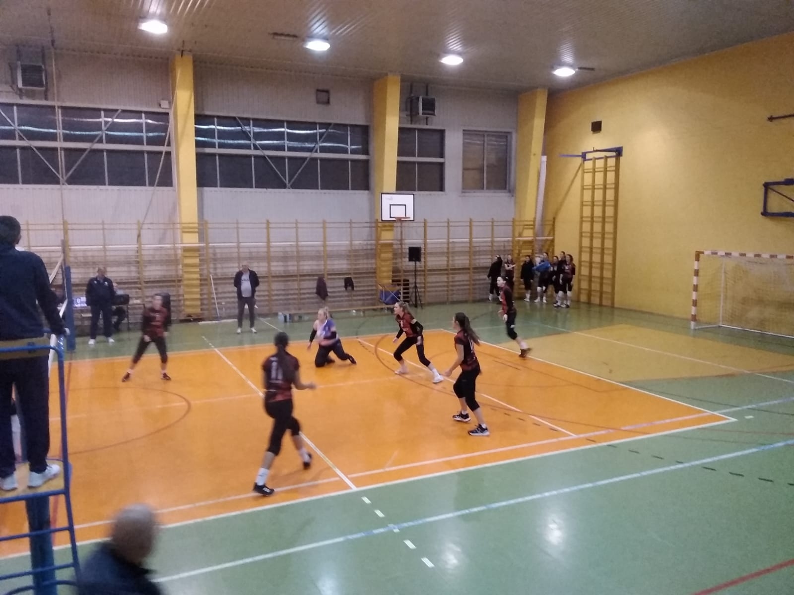 Zdjęcie w galerii na portalu naszwodzislaw.com: Siatkarki ZORZY z wysokimi zwycięstwami wiadomości z regionu