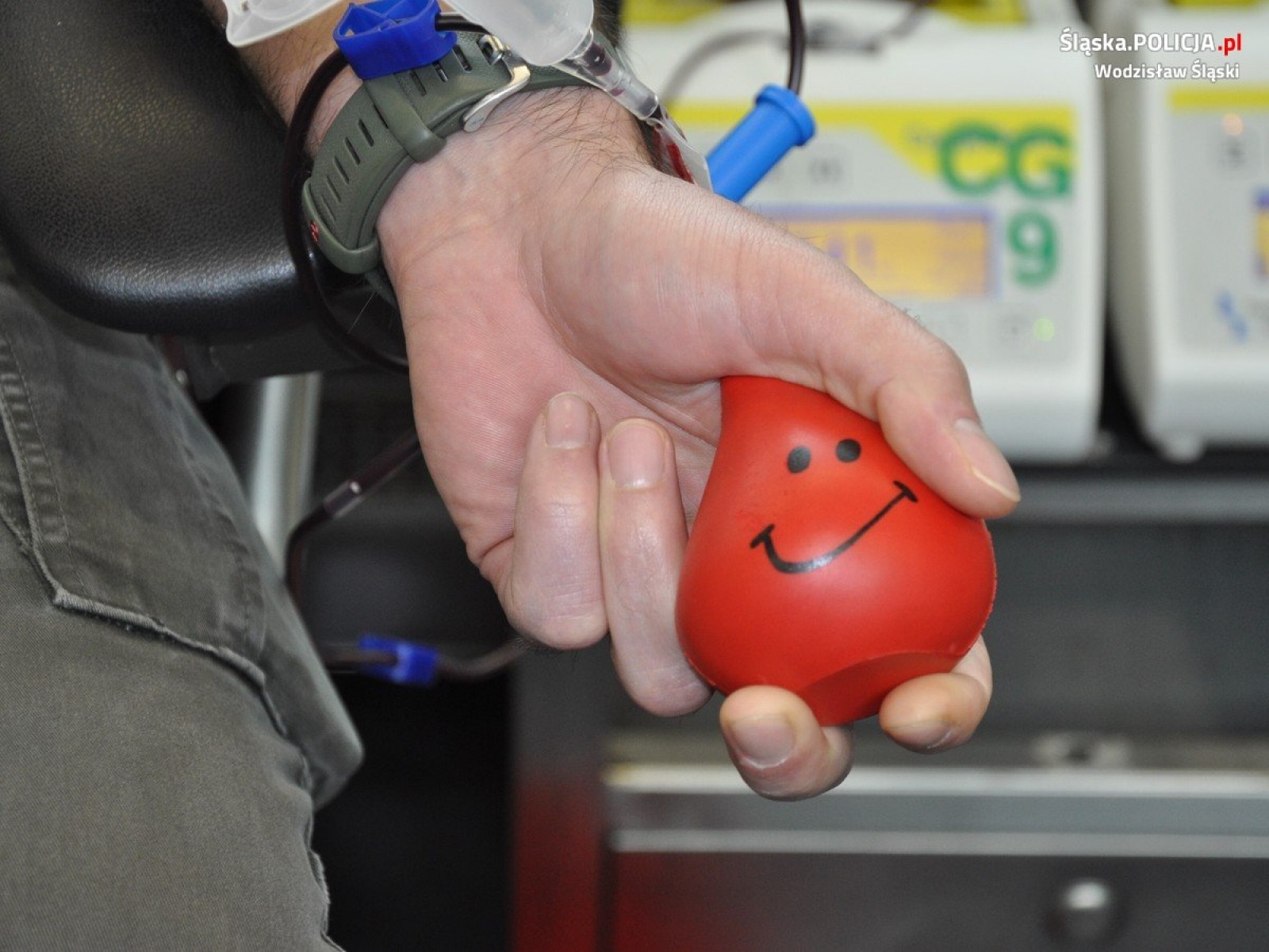 Zdjęcie w galerii na portalu naszwodzislaw.com: Zostali Mikołajami. Podarowali swą krew [FOTO] wiadomości z regionu