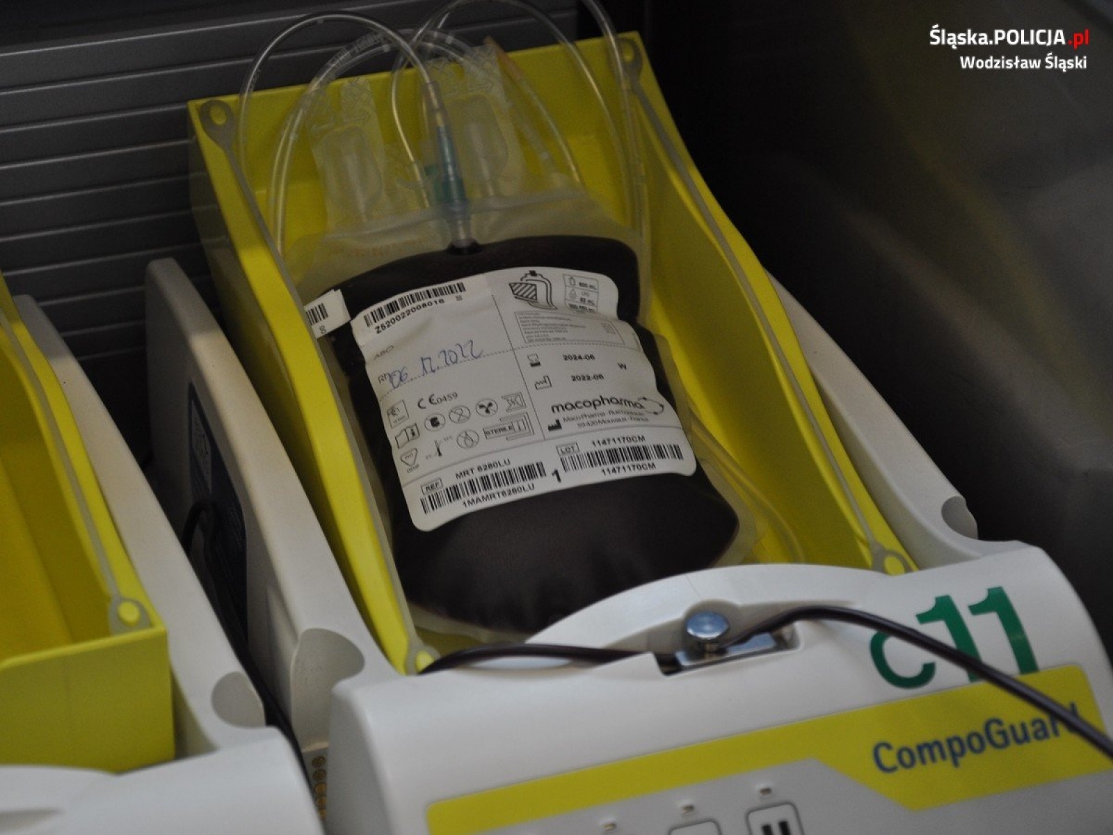 Zdjęcie w galerii na portalu naszwodzislaw.com: Zostali Mikołajami. Podarowali swą krew [FOTO] wiadomości z regionu