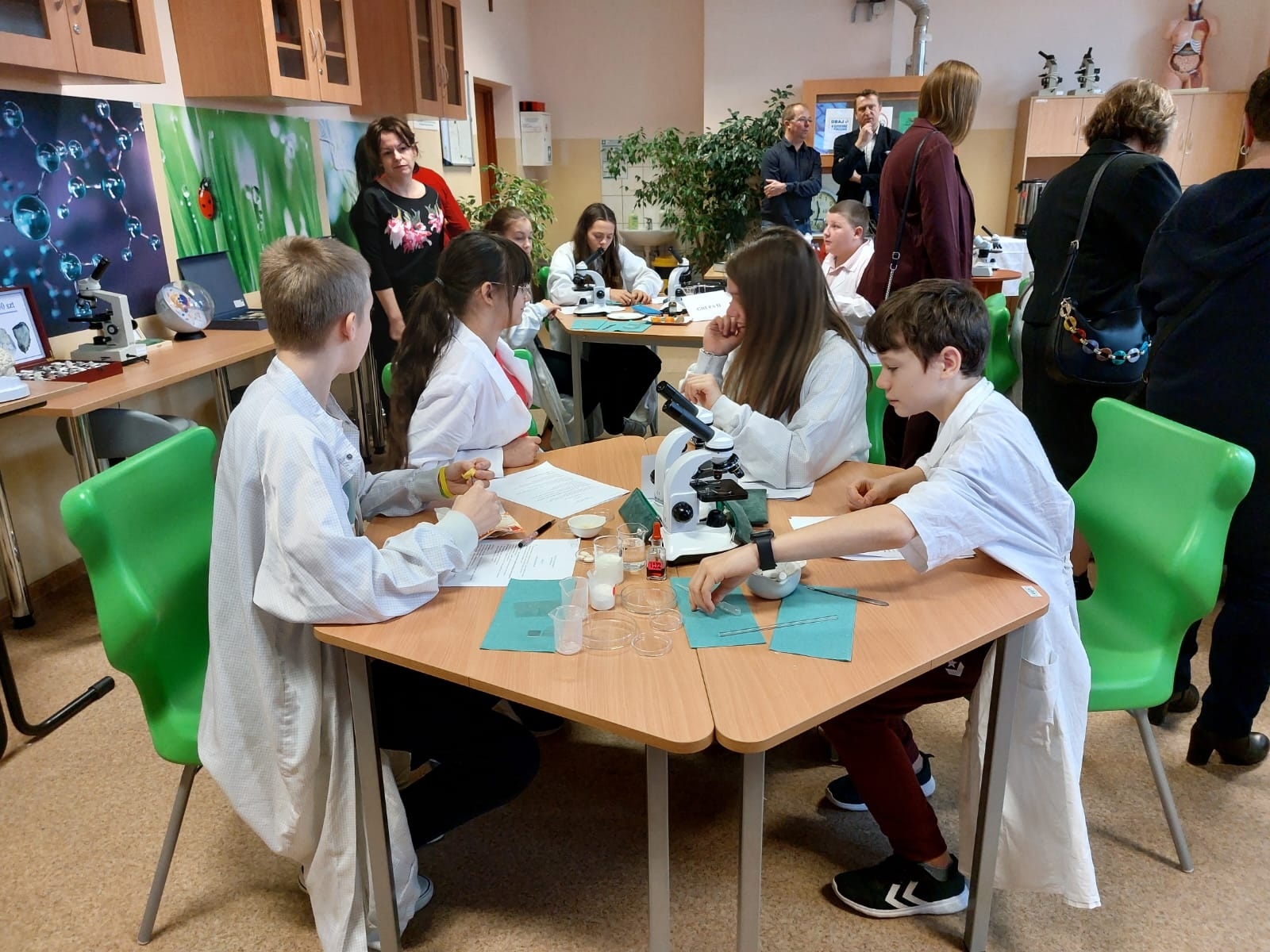 Zdjęcie w galerii na portalu naszwodzislaw.com: W czyżowickiej podstawówce powstało Zielone laboratorium wiadomości z regionu